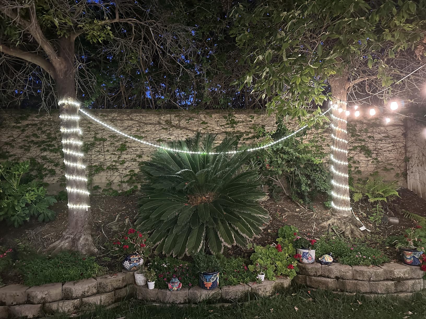 UltraPro LED Rope Lights, 25ft Classic Clear Rope, Warm White Light 3000K, Indoor/Outdoor, Flexible, Linkable, Durable, Rope Lights Outdoor, 54504 Customer Review UltraPro LED Rope Lights, 25ft Classic Clear Rope, Warm White Light 3000K, Indoor/Outdoor, Flexible, Linkable, Durable, Rope Lights Outdoor, 54504 - Customer Photo 1
