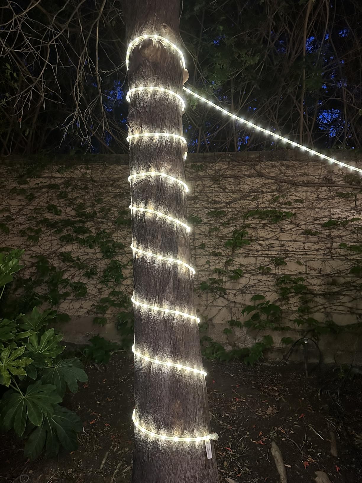 UltraPro LED Rope Lights, 25ft Classic Clear Rope, Warm White Light 3000K, Indoor/Outdoor, Flexible, Linkable, Durable, Rope Lights Outdoor, 54504 Customer Review UltraPro LED Rope Lights, 25ft Classic Clear Rope, Warm White Light 3000K, Indoor/Outdoor, Flexible, Linkable, Durable, Rope Lights Outdoor, 54504 - Customer Photo 2
