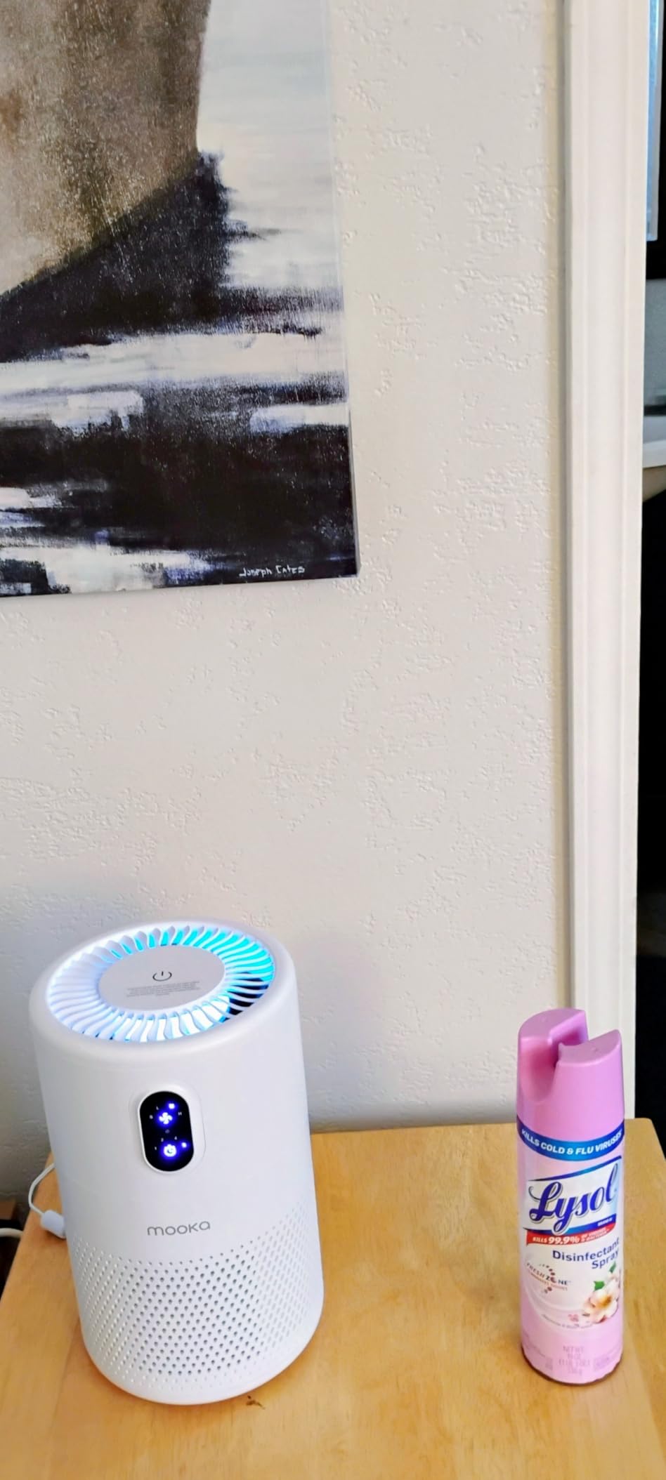 MOOKA Air Purifiers for Home Large Room up to 1076 ft², H13 True HEPA Air Filter Cleaner with Night Light - Customer Photo 1