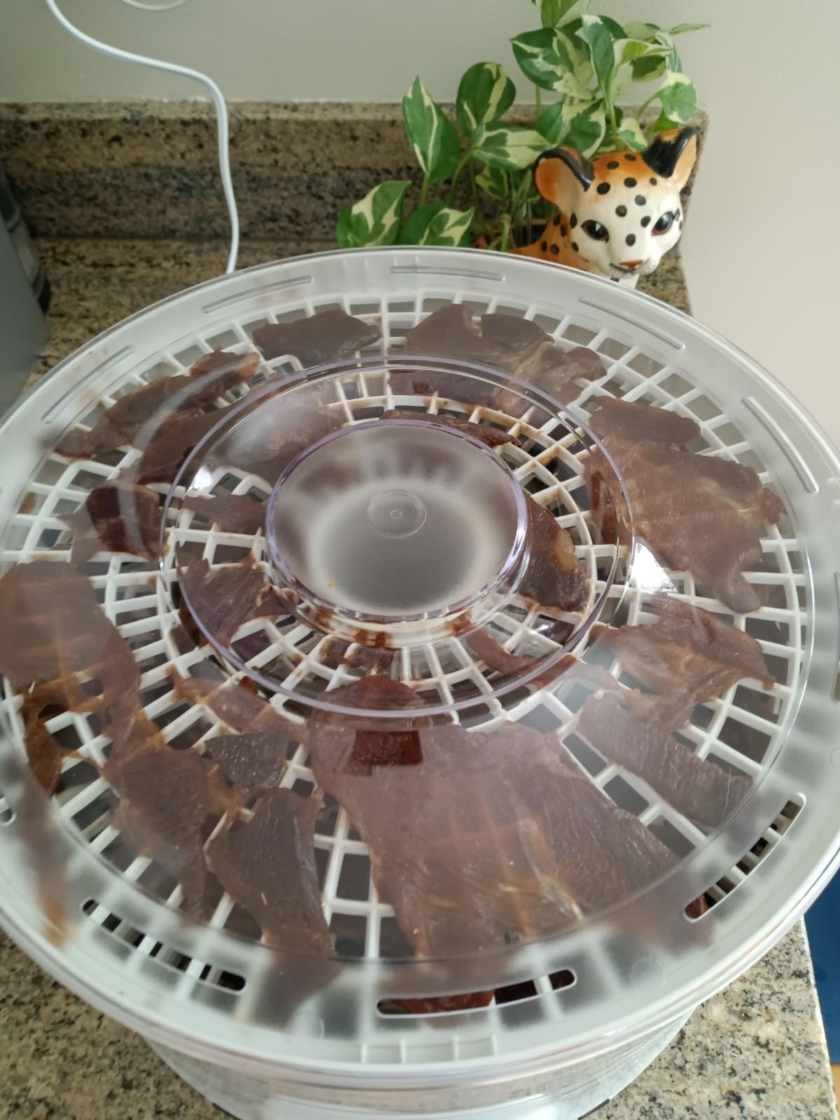 COSORI Food Dehydrator Machine for Jerky, 5 Trays with 165°F Temperature Control and 48H Timer, 350W Dryer for Fruit, Herbs, Meat, Veggies and Dog Treats, 50-Recipes Book Included Customer Review COSORI Food Dehydrator Machine for Jerky, 5 Trays with 165°F Temperature Control and 48H Timer, 350W Dryer for Fruit, Herbs, Meat, Veggies and Dog Treats, 50-Recipes Book Included - Customer Photo 1