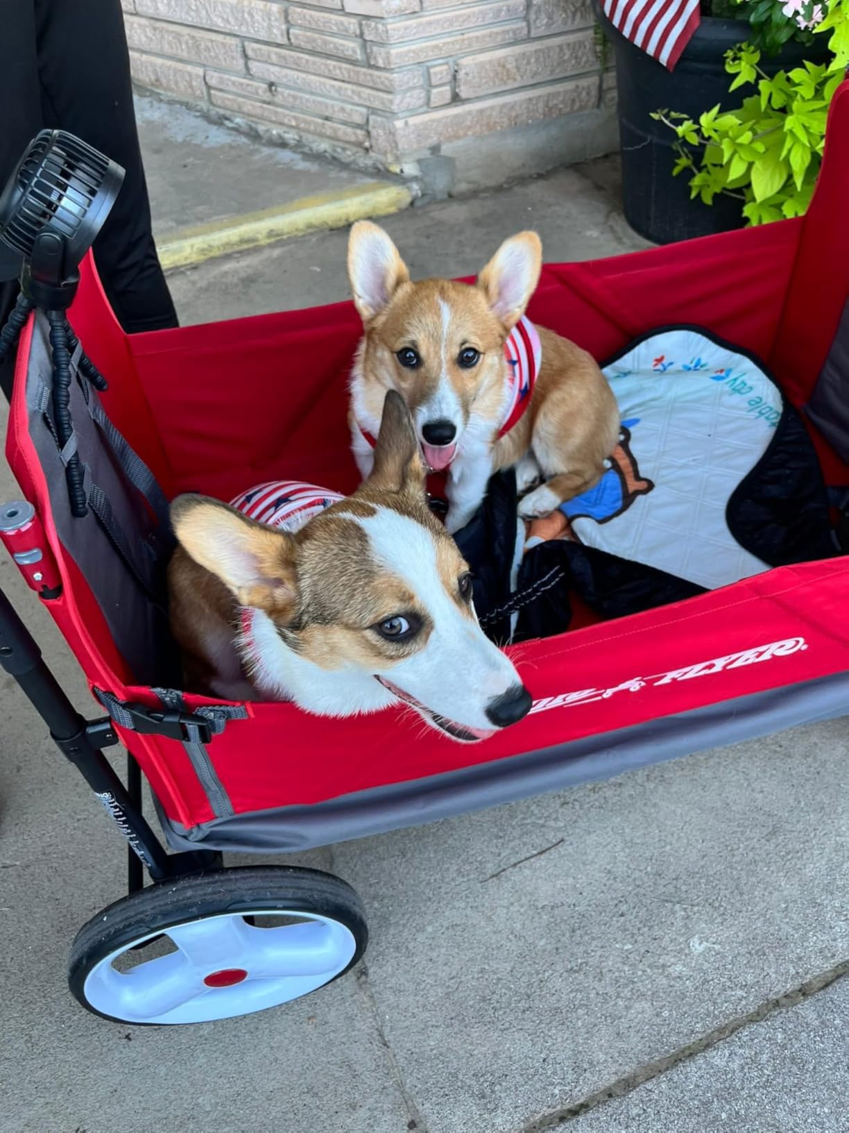 Stroller Wagon for Kids, Baby Stroller, Utility Cart, Rolling Cart, Radio Flyer City Luxe Stroll 'N Wagon, for Ages 1+ Years, Gray Customer Review Stroller Wagon for Kids, Baby Stroller, Utility Cart, Rolling Cart, Radio Flyer City Luxe Stroll 'N Wagon, for Ages 1+ Years, Gray - Customer Photo 1
