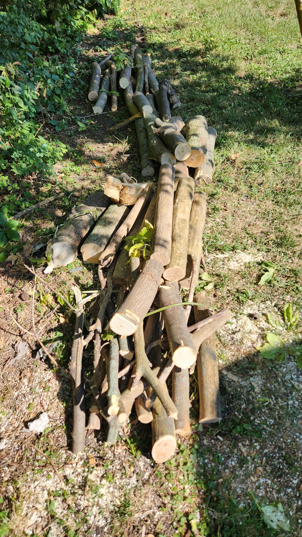EGO POWER+ Chain Saw, 16 EGO POWER+ Chain Saw, 16