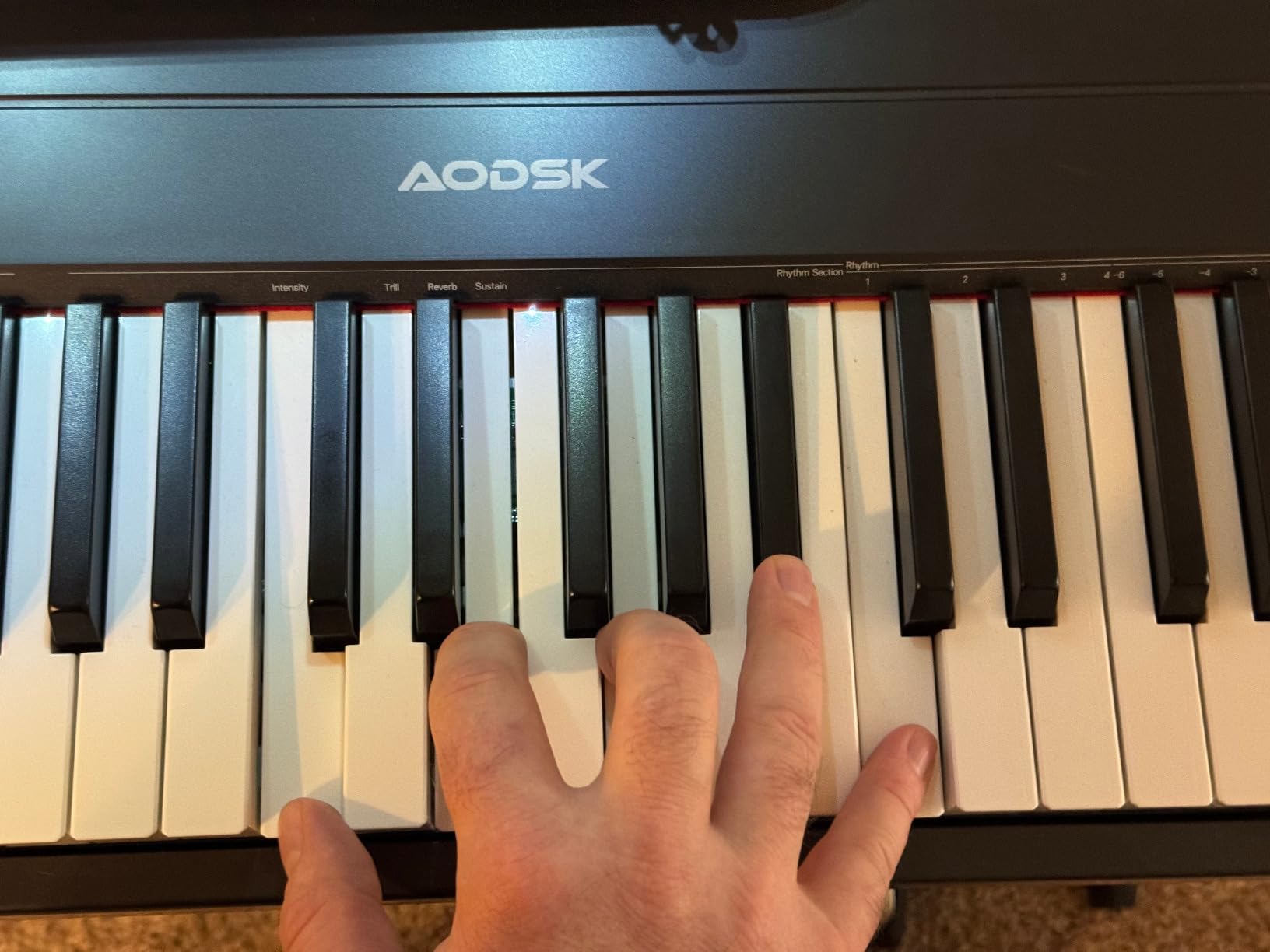 AODSK Weighted Piano 88-Key Beginner Digital Piano,Full Size Weighted keyboard with Hammer Action,with Sustain Pedal,15W Stereo Speakers,MP3 Function,Piano Lessons,Black,S-200 Customer Review AODSK Weighted Piano 88-Key Beginner Digital Piano,Full Size Weighted keyboard with Hammer Action,with Sustain Pedal,15W Stereo Speakers,MP3 Function,Piano Lessons,Black,S-200 - Customer Photo 1