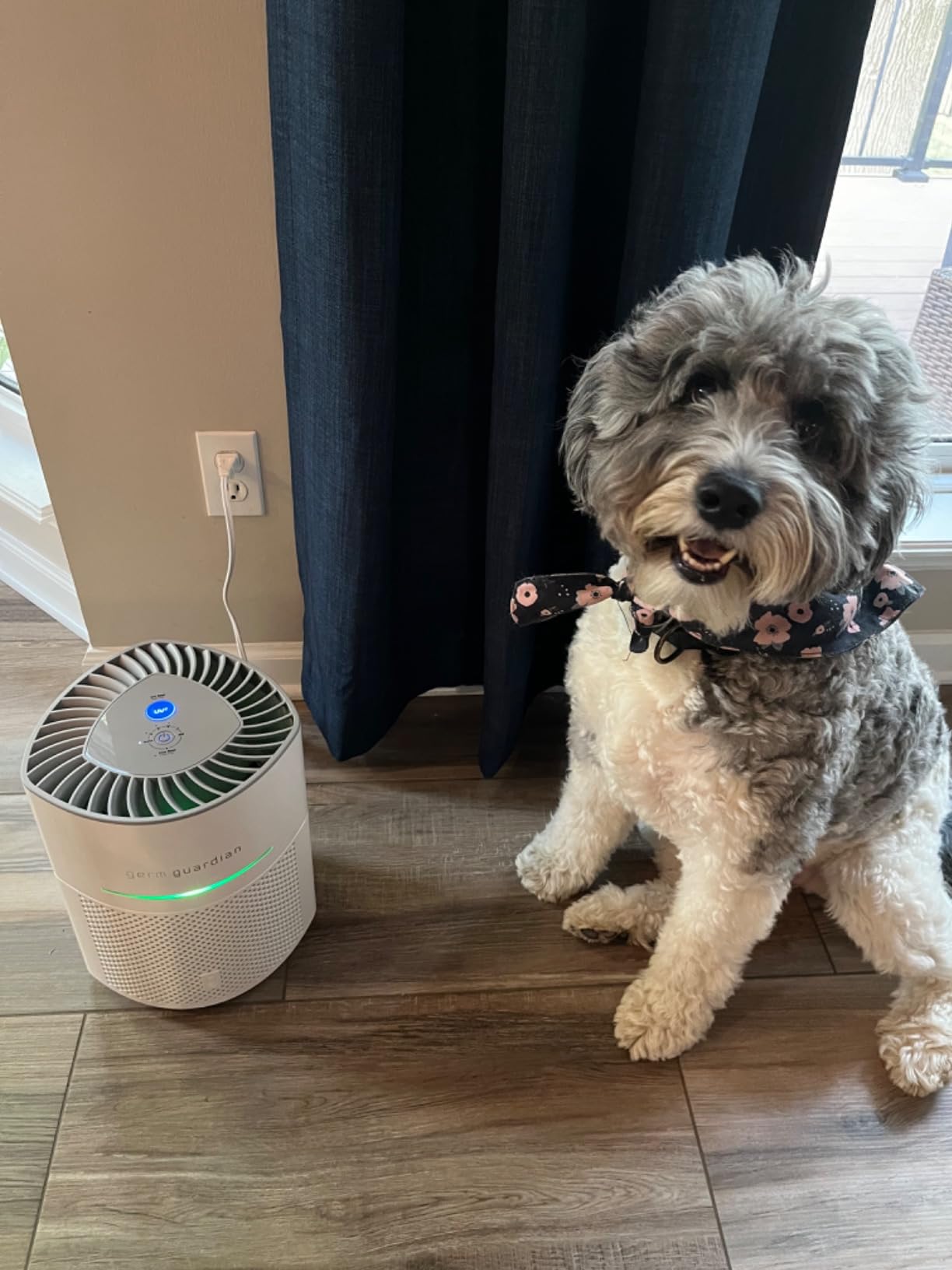 GermGuardian Airsafe+ HEPA Air Purifier for Home, Large Rooms Up To 1043 Sq. Ft. with HEPA Air Filter, UV-C Light & Air Quality Sensor, AC3000W, White Customer Review GermGuardian Airsafe+ HEPA Air Purifier for Home, Large Rooms Up To 1043 Sq. Ft. with HEPA Air Filter, UV-C Light & Air Quality Sensor, AC3000W, White - Customer Photo 2