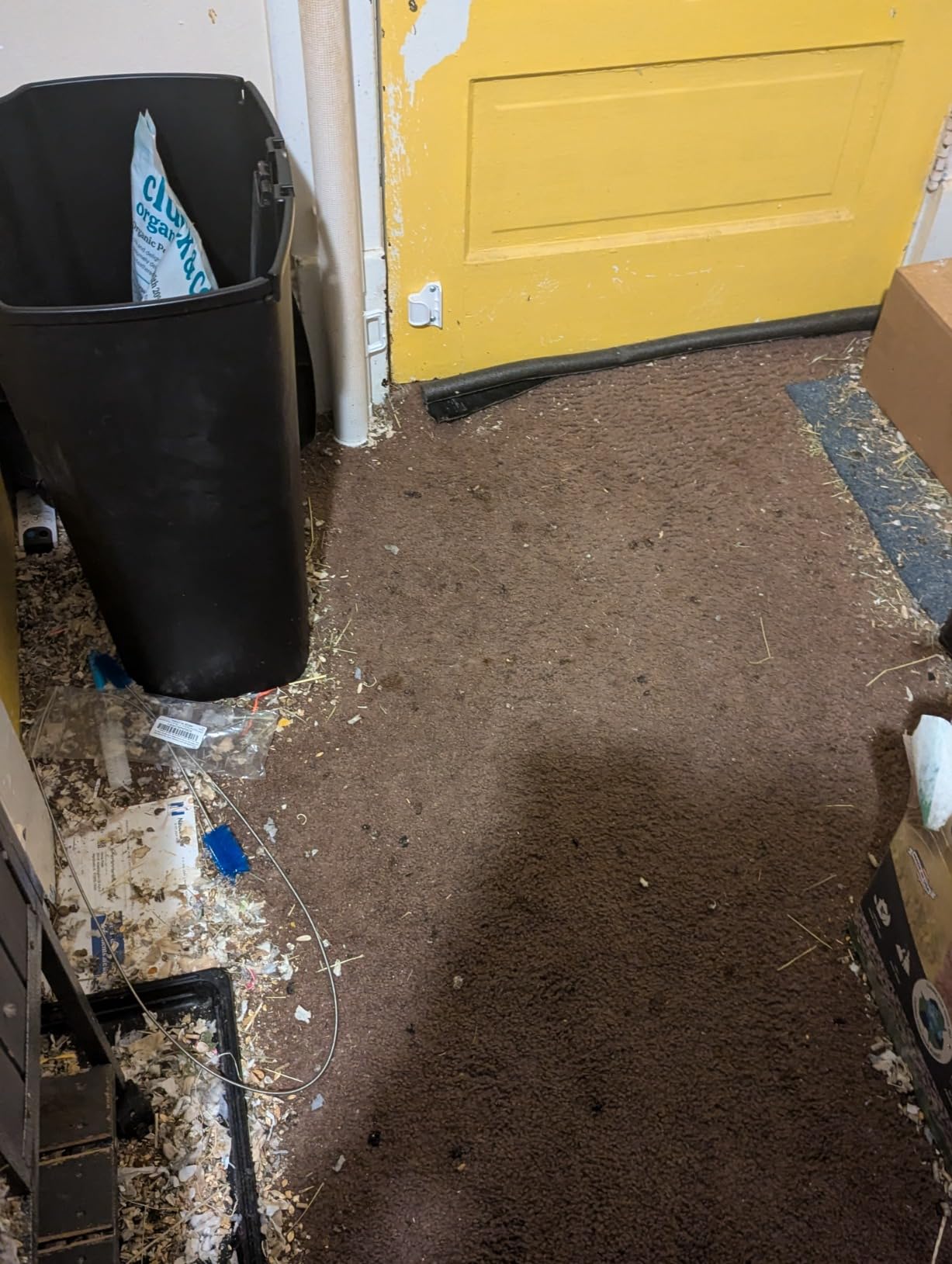 Hoover ONEPWR Evolve Pet Cordless Vacuum Cleaner - Customer Photo 1