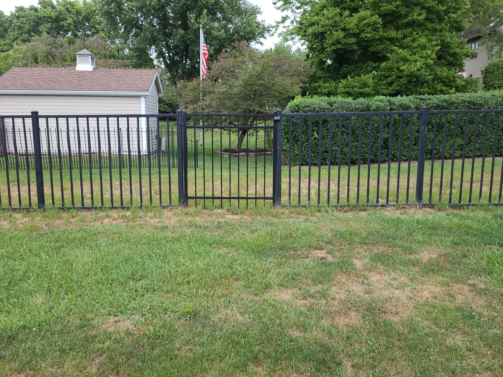 Weatherables Livingston Aluminum Fence Kit – DIY Kit for Backyard and Garden Fencing, Made with Durable Powder-Coated Aluminum That Combats Rust, Fading, and Corrosion (4' x 6' Fence Panel) Customer Review Weatherables Livingston Aluminum Fence Kit – DIY Kit for Backyard and Garden Fencing, Made with Durable Powder-Coated Aluminum That Combats Rust, Fading, and Corrosion (4' x 6' Fence Panel) - Customer Photo 1