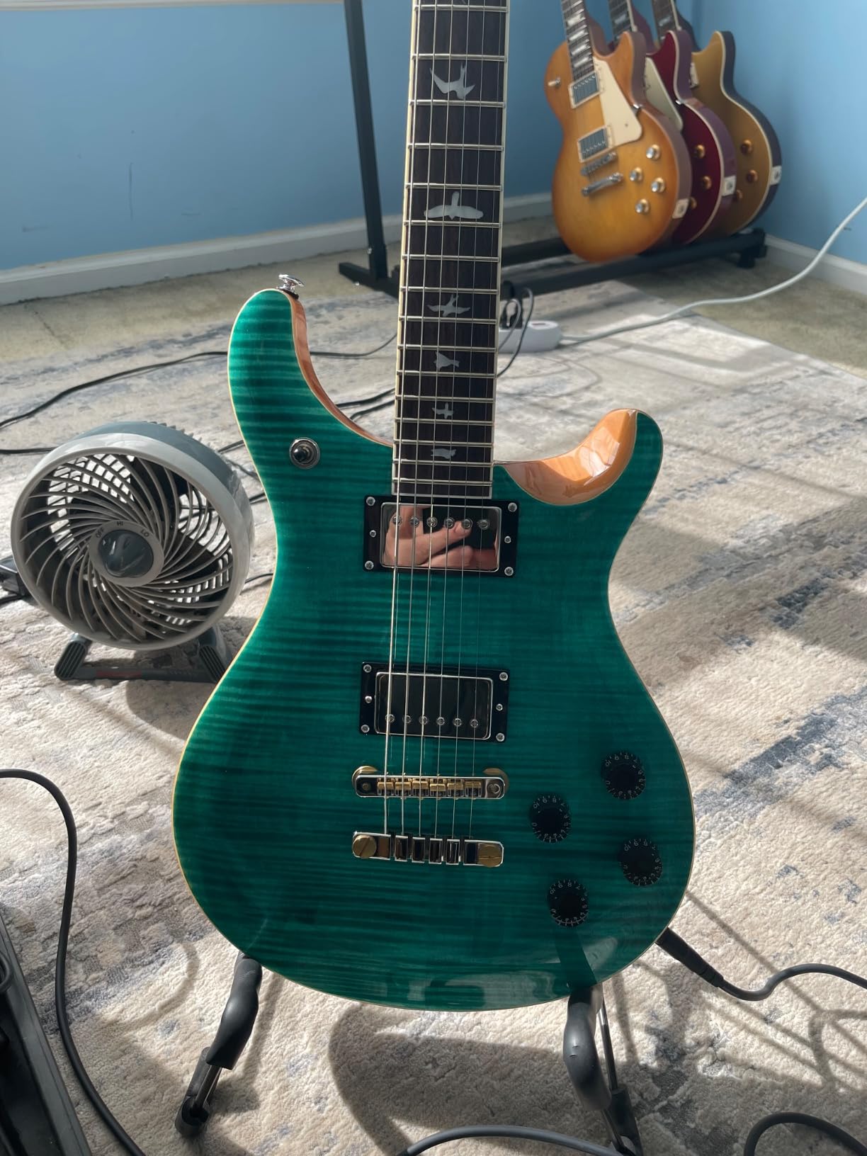 PRS Guitars 6 String SE McCarty 594, Vintage Sunburst with Gigbag Customer Review PRS Guitars 6 String SE McCarty 594, Vintage Sunburst with Gigbag - Customer Photo 1
