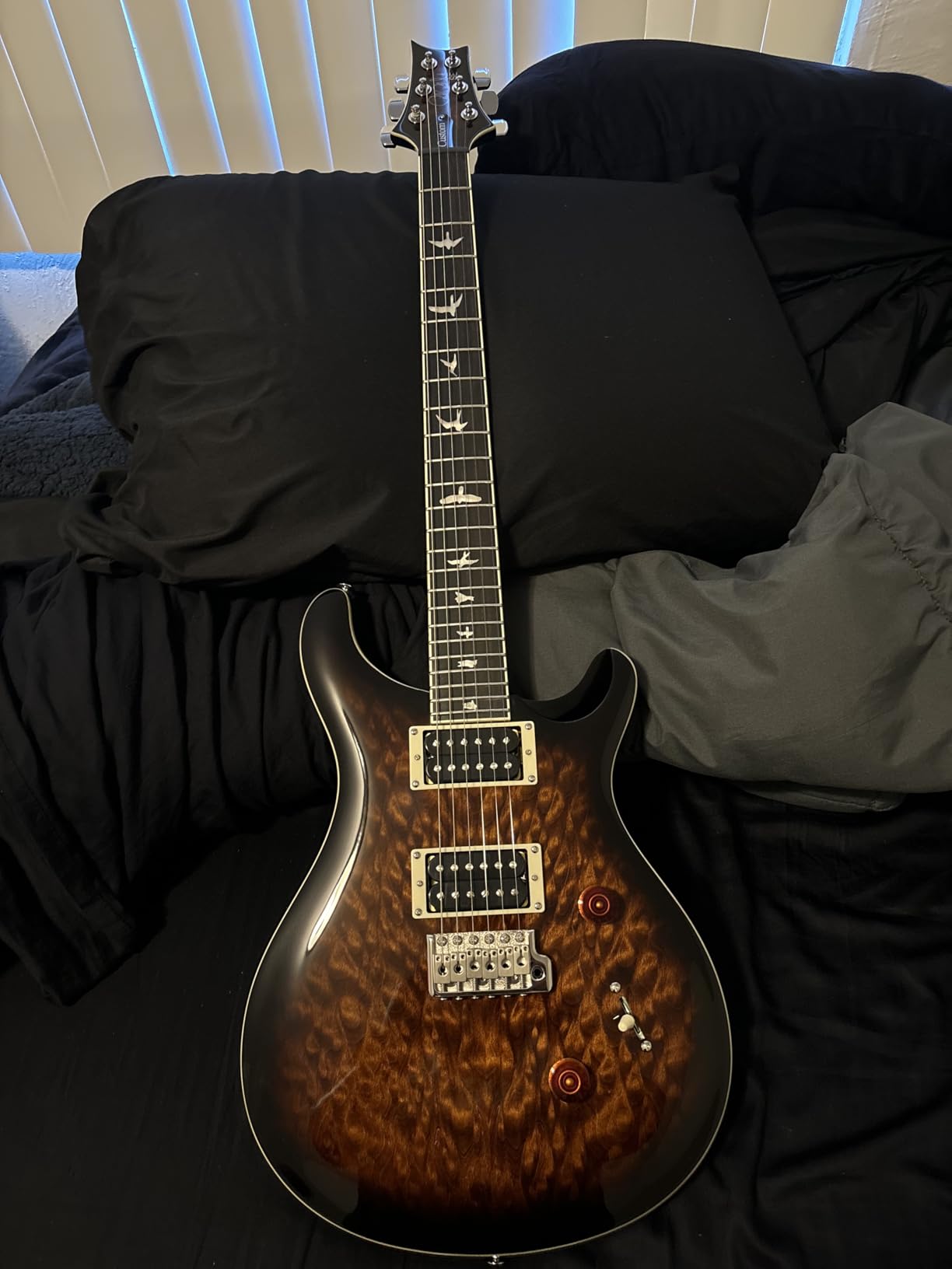PRS Guitars 6 String SE Custom 24 Quilt Electric Guitar, Black Gold Sunburst with Gigbag Customer Review PRS Guitars 6 String SE Custom 24 Quilt Electric Guitar, Black Gold Sunburst with Gigbag - Customer Photo 1