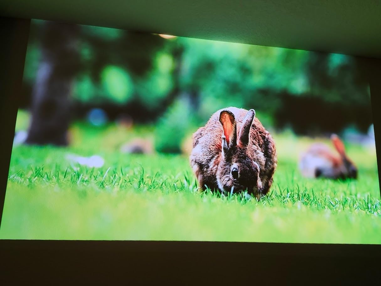 Dangbei Atom Portable Laser Projector, 1200 ISO Lumens, 3D Ready, Official Netflix, 1080p HD with 4K HDR Input, 180 Dangbei Atom Portable Laser Projector, 1200 ISO Lumens, 3D Ready, Official Netflix, 1080p HD with 4K HDR Input, 180