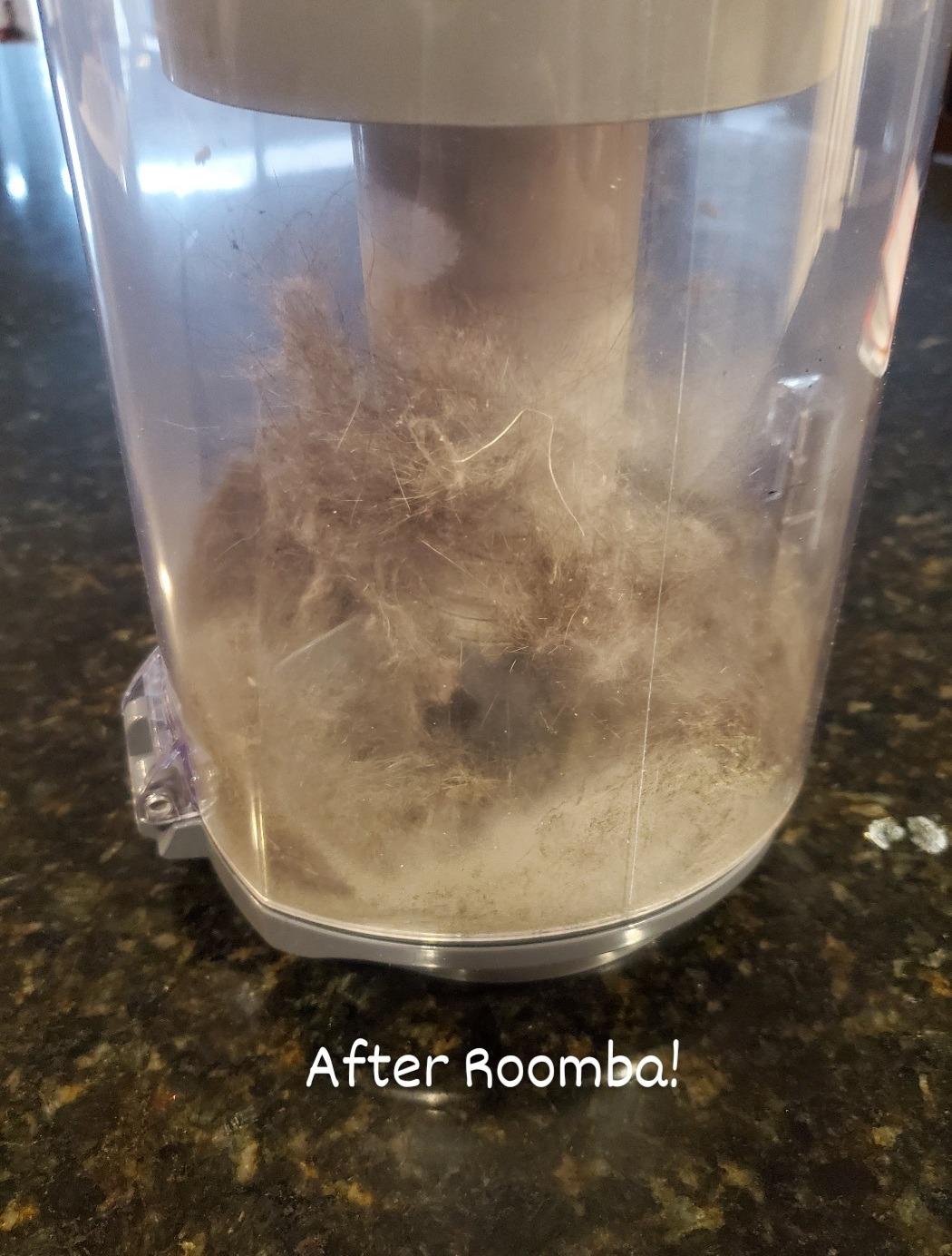 Hoover WindTunnel All-Terrain Dual Brush Roll Bagless Vacuum Cleaner, Corded Upright Vacuum, HEPA Media Filtration, Headlights, Swivel Steering, Corded Vacuum Cleaners for Home Use - Customer Photo 2