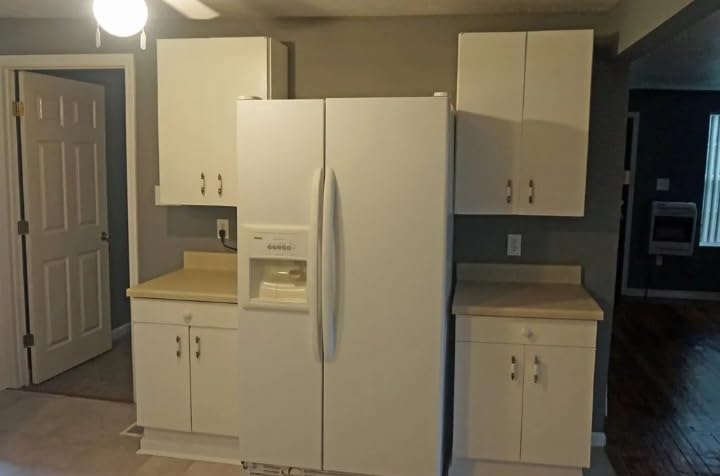 MaXpray M1 Airless Paint Sprayer, Highly Efficient Thinning-Free Minimal Overspray - Customer Photo 1