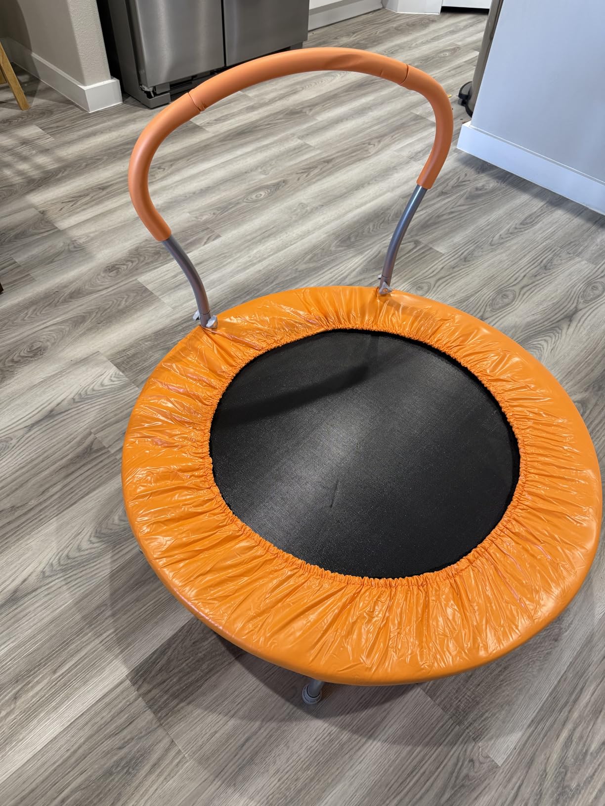 36 Inch Kids Trampoline: Mini Trampoline with Handle Indoor Outdoor Use, Toddler Small Fitness Rebounder Customer Review 36 Inch Kids Trampoline: Mini Trampoline with Handle Indoor Outdoor Use, Toddler Small Fitness Rebounder - Customer Photo 3