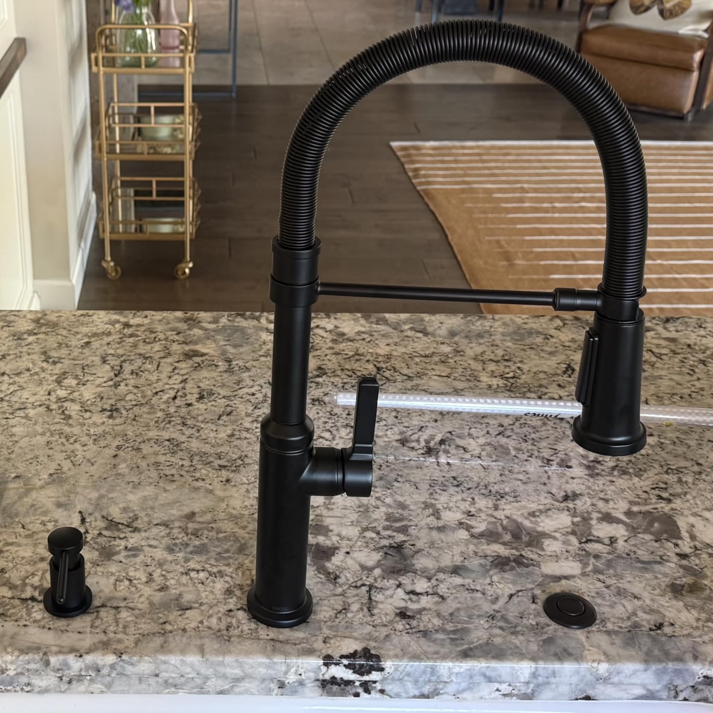 Delta Rhett Pro Style Commercial Kitchen Faucet with Pull Down Sprayer, Brushed Nickel Single Hole Kitchen Sink Faucet, Single Handle, Stainless 18829-SS-DST Customer Review Delta Rhett Pro Style Commercial Kitchen Faucet with Pull Down Sprayer, Brushed Nickel Single Hole Kitchen Sink Faucet, Single Handle, Stainless 18829-SS-DST - Customer Photo 2