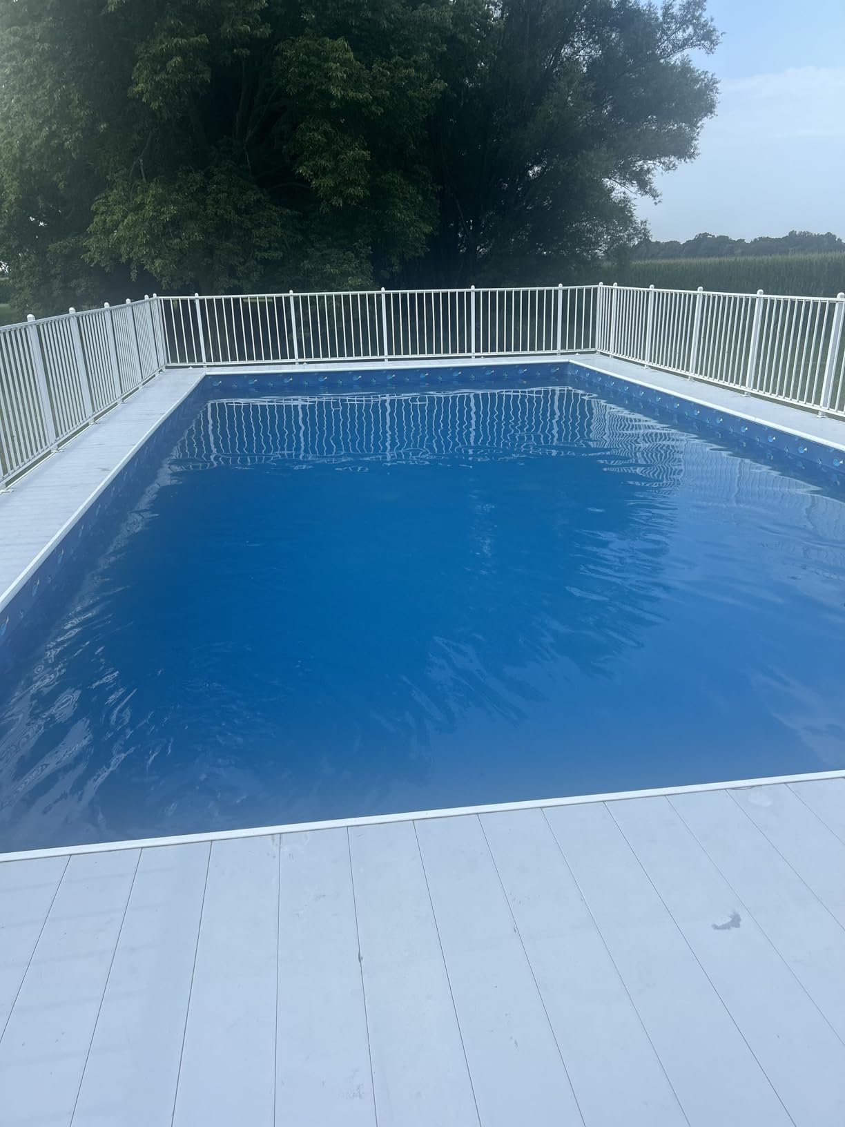 Copper Pool Algaecide for Swimming Pool - 90 Day Algaecide for Inground Pool to Prevent and Remove Pool Algae - Super Algaecide for Pool Opening - AquaDoc 32oz Customer Review Copper Pool Algaecide for Swimming Pool - 90 Day Algaecide for Inground Pool to Prevent and Remove Pool Algae - Super Algaecide for Pool Opening - AquaDoc 32oz - Customer Photo 1