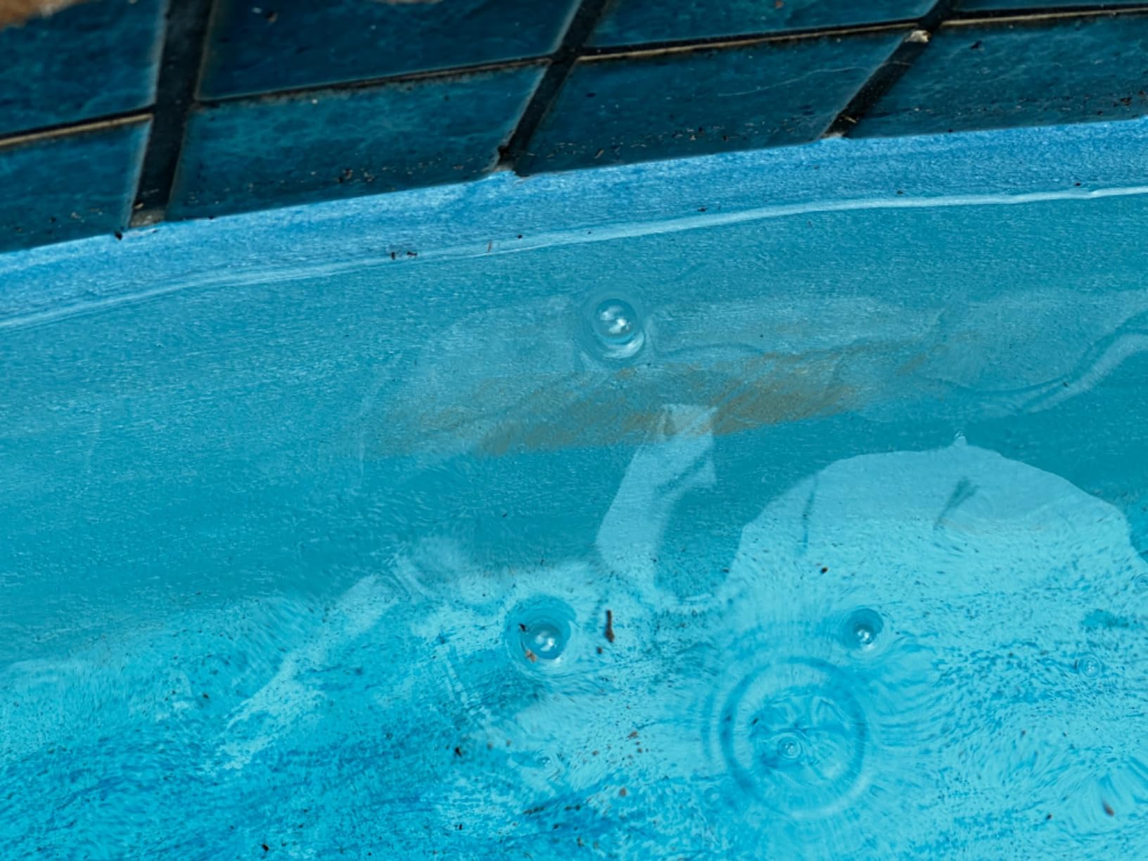 Copper Pool Algaecide for Swimming Pool - 90 Day Algaecide for Inground Pool to Prevent and Remove Pool Algae - Super Algaecide for Pool Opening - AquaDoc 32oz Customer Review Copper Pool Algaecide for Swimming Pool - 90 Day Algaecide for Inground Pool to Prevent and Remove Pool Algae - Super Algaecide for Pool Opening - AquaDoc 32oz - Customer Photo 2