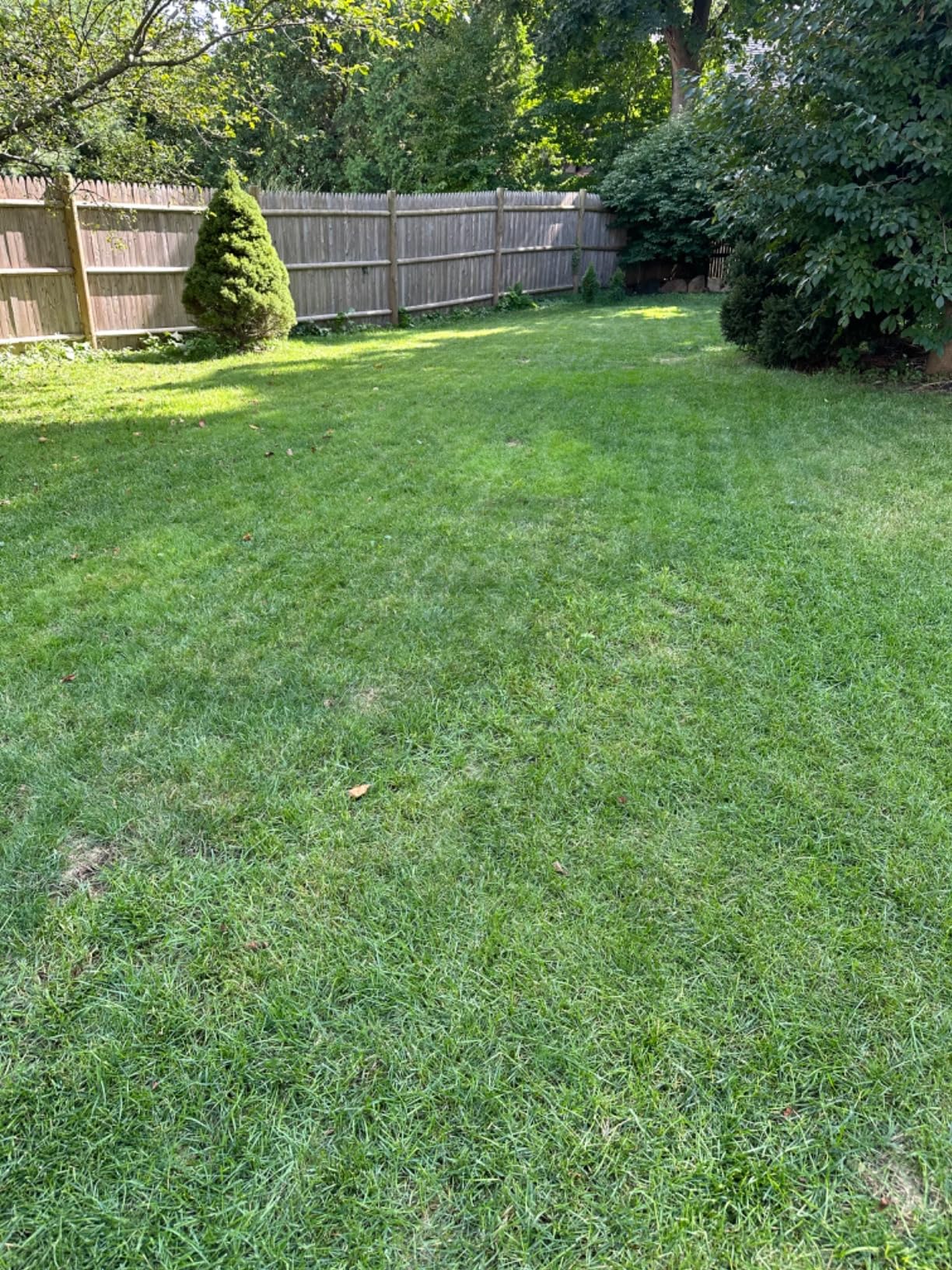 Segway Navimow H1500N-VF Robot Lawn Mower Perimeter Wire Free 0.37 Acre RTK+Vision Robotic Lawnmower, Virtual Boundary, Systematic Mowing, APP Control, Anti-Theft, 54dB(A) Quiet, Multi-Zone Management Customer Review Segway Navimow H1500N-VF Robot Lawn Mower Perimeter Wire Free 0.37 Acre RTK+Vision Robotic Lawnmower, Virtual Boundary, Systematic Mowing, APP Control, Anti-Theft, 54dB(A) Quiet, Multi-Zone Management - Customer Photo 1
