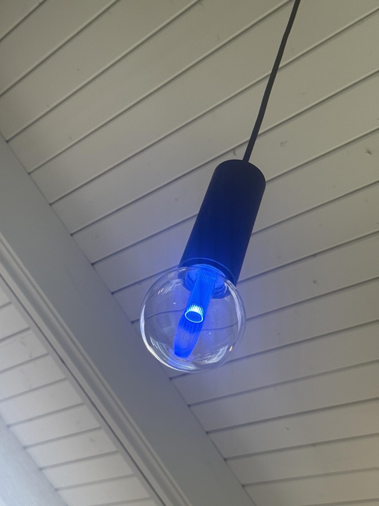 Philips Hue Lightguide ST23 Edison Smart LED Bulb – Handblown Glass - Color Changing Light - Compatible with Amazon Alexa, Apple HomeKit and Google Assistant - Bluetooth and Hue Bridge Compatible Customer Review Philips Hue Lightguide ST23 Edison Smart LED Bulb – Handblown Glass - Color Changing Light - Compatible with Amazon Alexa, Apple HomeKit and Google Assistant - Bluetooth and Hue Bridge Compatible - Customer Photo 1