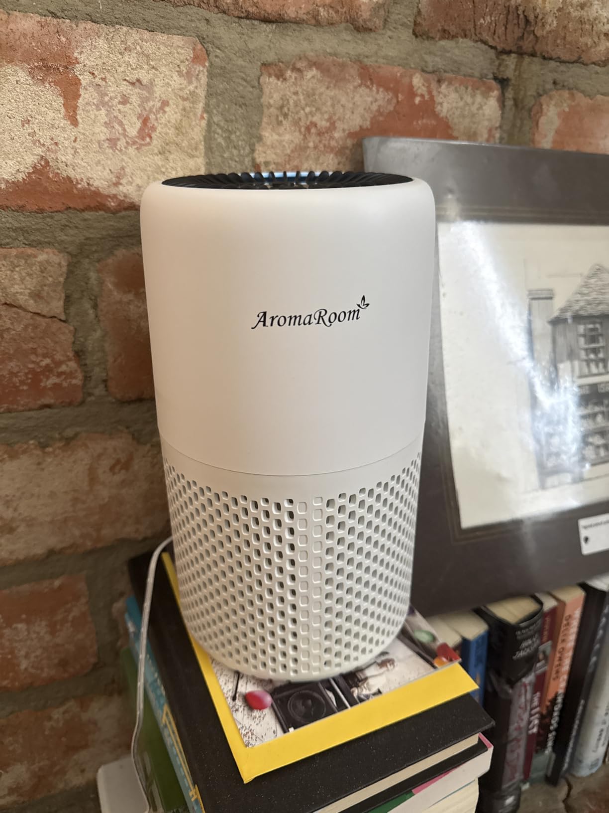 Air Purifiers for Home BedroomAromaRoom H13 HEPA Air Purifier Filter for AllergiesPollenSmokeDustsPets DanderOdorHair22dB Quiet Air Cleaner for RoomOfficeDormAP100-B (Black) - Customer Photo 1