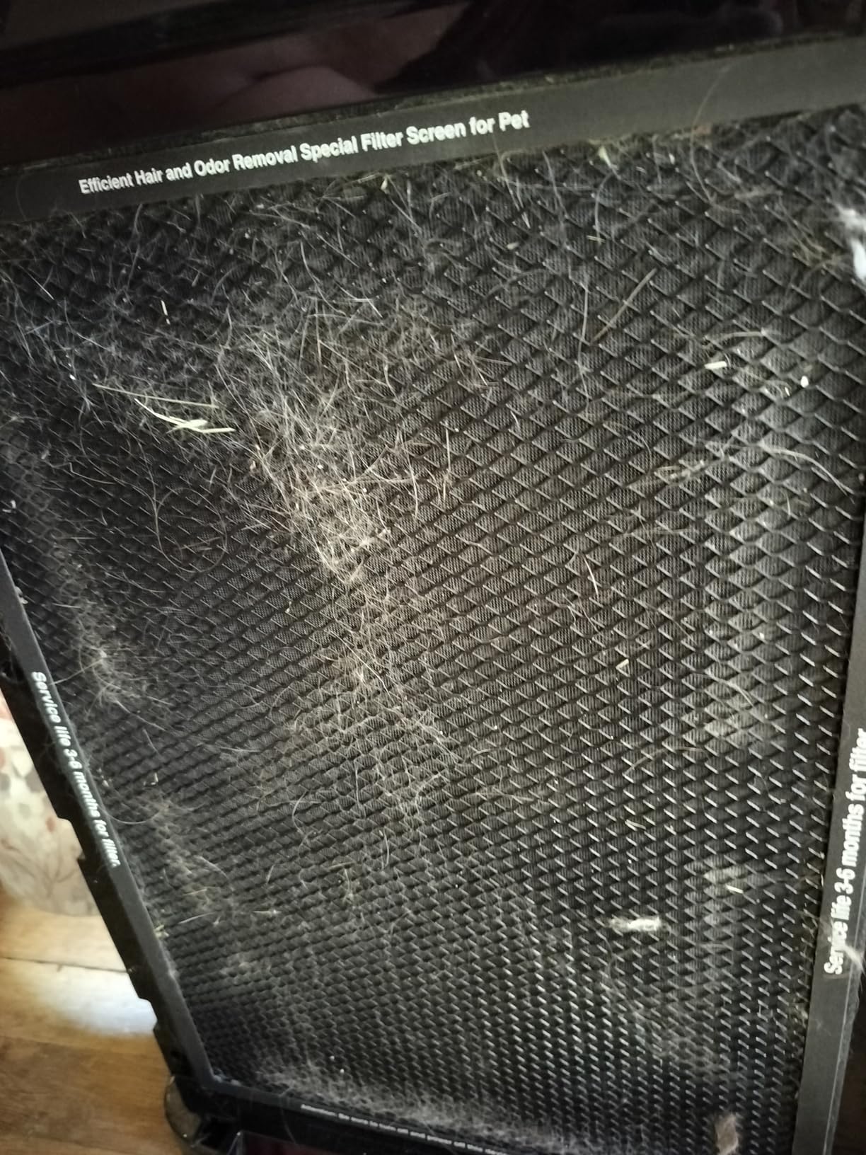 Large Pet Air Purifier for Home up to 4200 sq ft, Suck up Floating Cat Dog Hair, 7-Stage Filter, Anion Activated Carbon HEPA Air Purifiers for Pet Hair Dander Odor Allergies Pollutant, Zero Ozone Customer Review Large Pet Air Purifier for Home up to 4200 sq ft, Suck up Floating Cat Dog Hair, 7-Stage Filter, Anion Activated Carbon HEPA Air Purifiers for Pet Hair Dander Odor Allergies Pollutant, Zero Ozone - Customer Photo 2