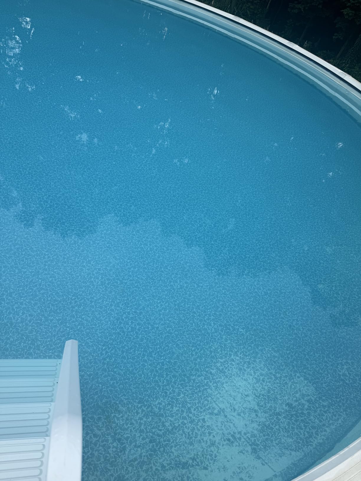 HTH 67244 Swimming Pool Care Algae Guard Ultra - Long Lasting Formula, Eliminates & Prevents Green, Black, and Mustard Algae, Fast Acting & Effective Swimming Pool Chemical, 32oz Customer Review HTH 67244 Swimming Pool Care Algae Guard Ultra - Long Lasting Formula, Eliminates & Prevents Green, Black, and Mustard Algae, Fast Acting & Effective Swimming Pool Chemical, 32oz - Customer Photo 2