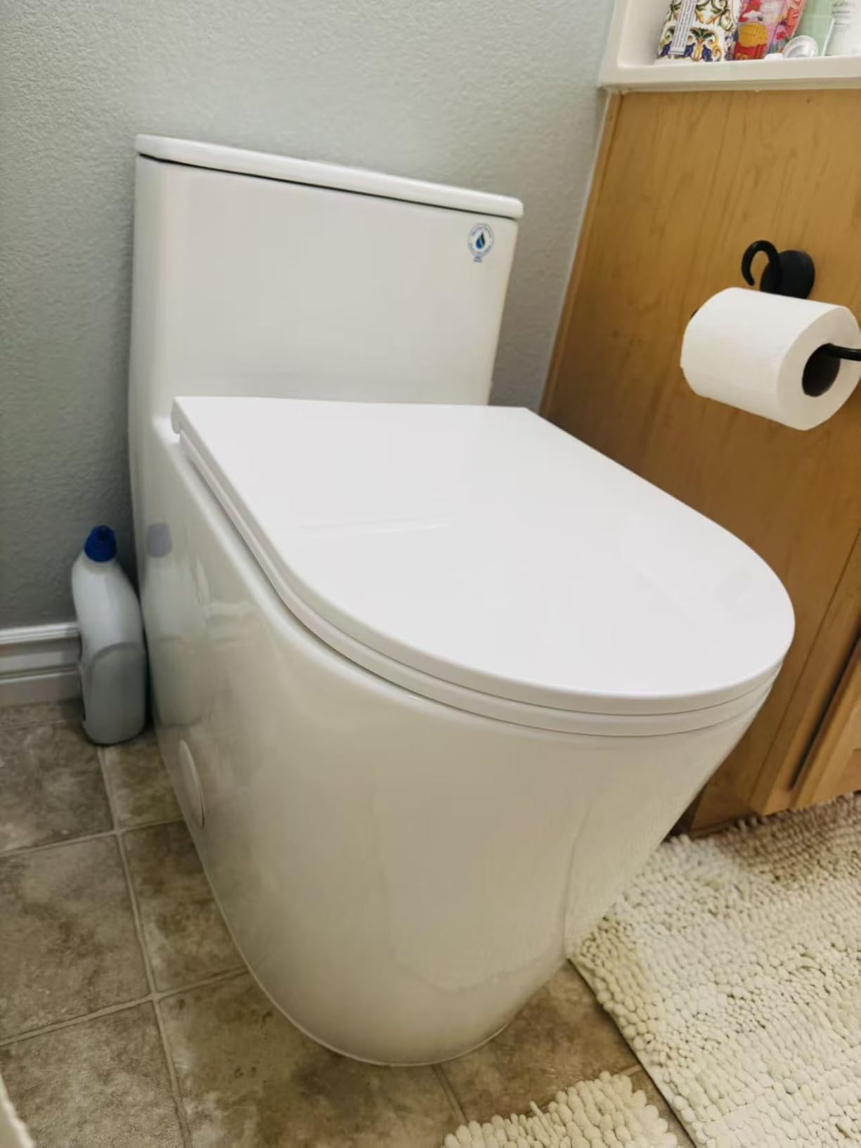 Casta Diva Elongated One Piece Toilet with 17 Casta Diva Elongated One Piece Toilet with 17