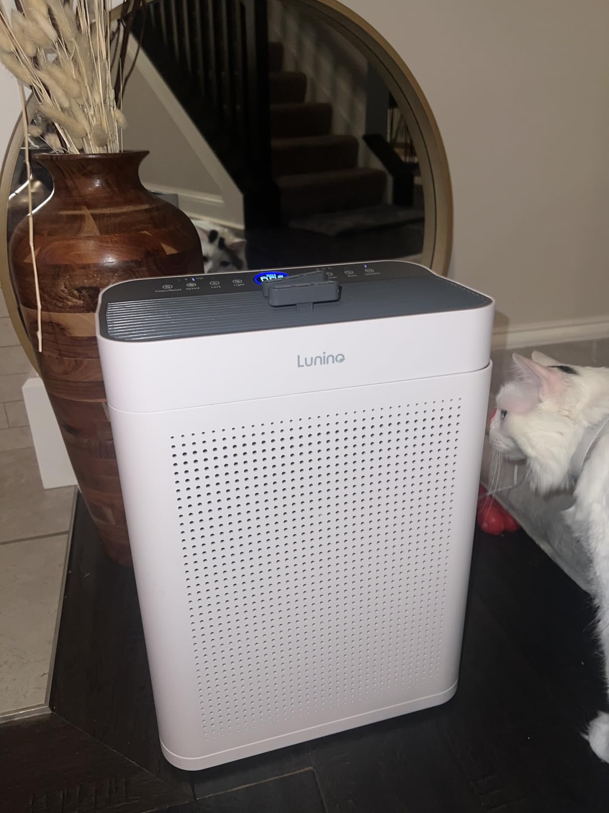 Air Purifiers for Home Large Room up to 3000sq.ft, LUNINO HEPA Double-Sided Air Purifier with Washable Filter, PM 2.5 Display Air Quality Sensors, Air Cleaner for Pets Hair, Odor, Dust, Smoke, Pollen Customer Review Air Purifiers for Home Large Room up to 3000sq.ft, LUNINO HEPA Double-Sided Air Purifier with Washable Filter, PM 2.5 Display Air Quality Sensors, Air Cleaner for Pets Hair, Odor, Dust, Smoke, Pollen - Customer Photo 1