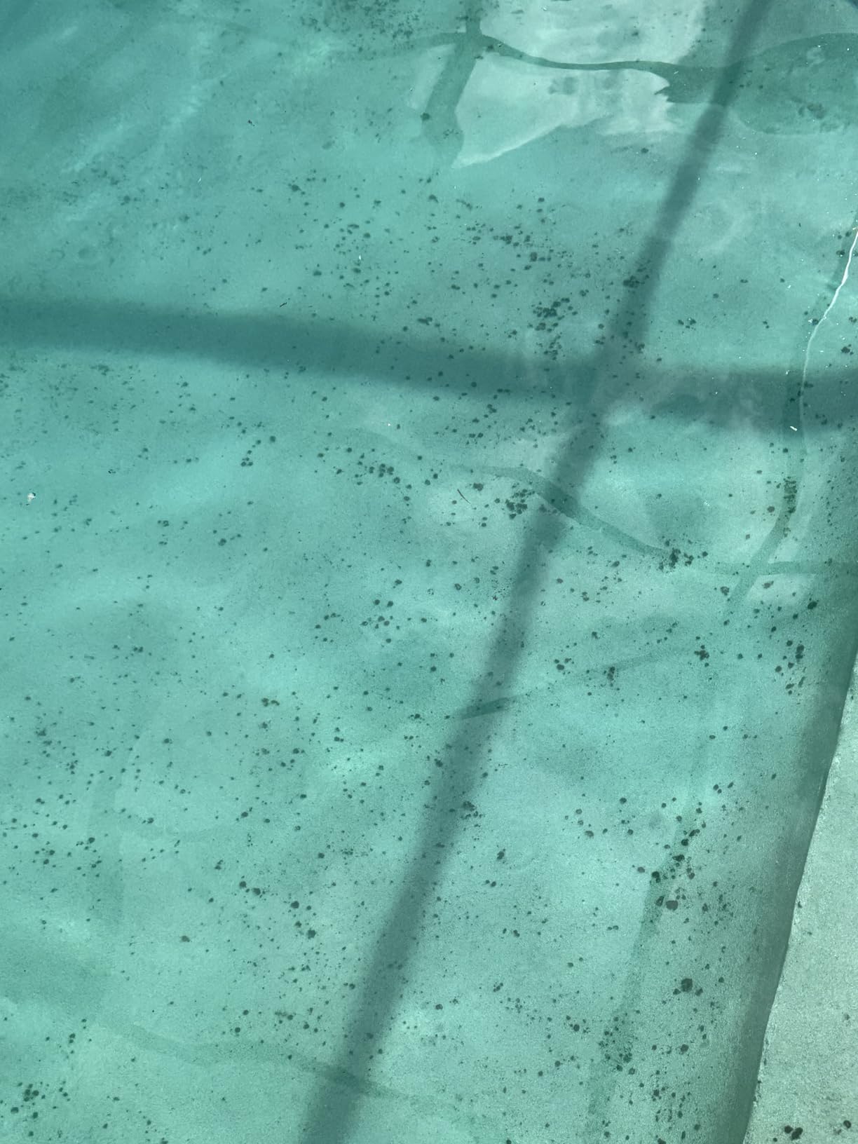 Copper Pool Algaecide for Swimming Pools - 64 oz - 90 Day Algaecide for Inground & Above Ground Pools, Helps Prevent & Remove Green, Mustard, Blue, Black Algae - AquaDoc Customer Review Copper Pool Algaecide for Swimming Pools - 64 oz - 90 Day Algaecide for Inground & Above Ground Pools, Helps Prevent & Remove Green, Mustard, Blue, Black Algae - AquaDoc - Customer Photo 2