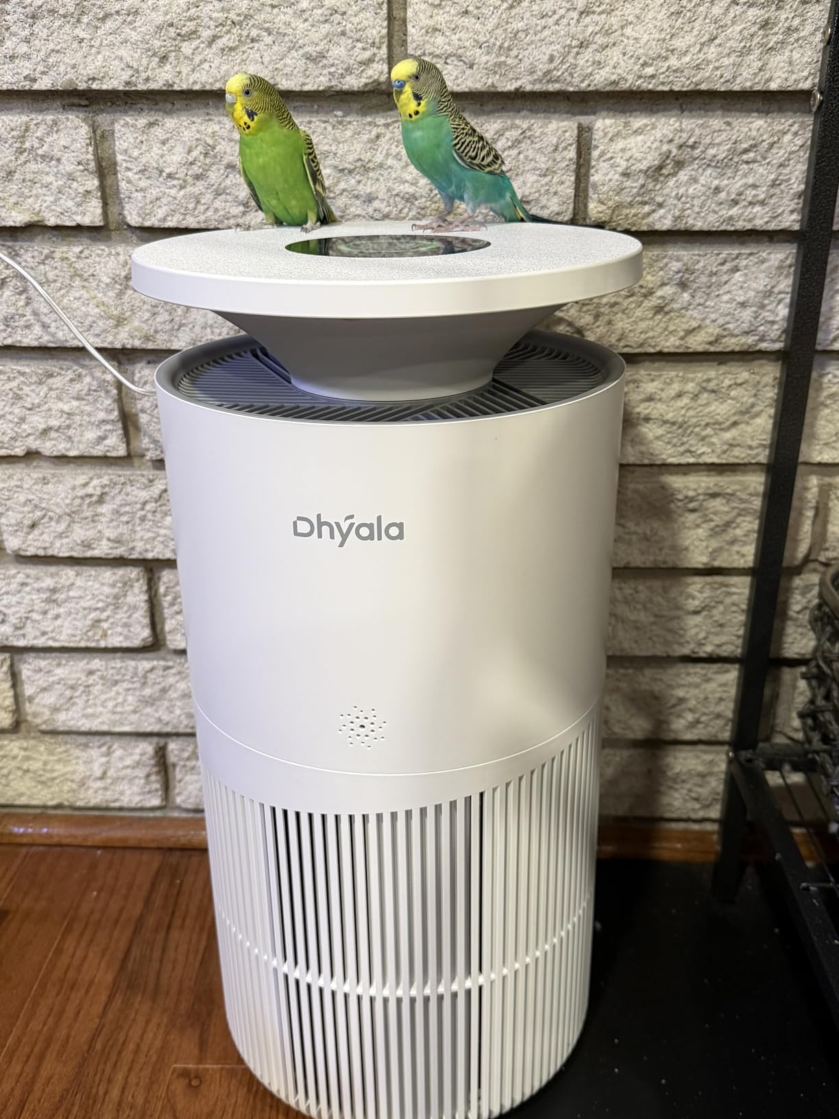 Air Purifier for Home Large Room up to 3620Ft², H13 True HEPA Air Purifiers for Home Pet Hair Dander Odor Pollen, Air Cleaner with Smart WiFi, 360° Air Intake, Auto Mode, Pet Lock, 22dB Quiet Customer Review Air Purifier for Home Large Room up to 3620Ft², H13 True HEPA Air Purifiers for Home Pet Hair Dander Odor Pollen, Air Cleaner with Smart WiFi, 360° Air Intake, Auto Mode, Pet Lock, 22dB Quiet - Customer Photo 2
