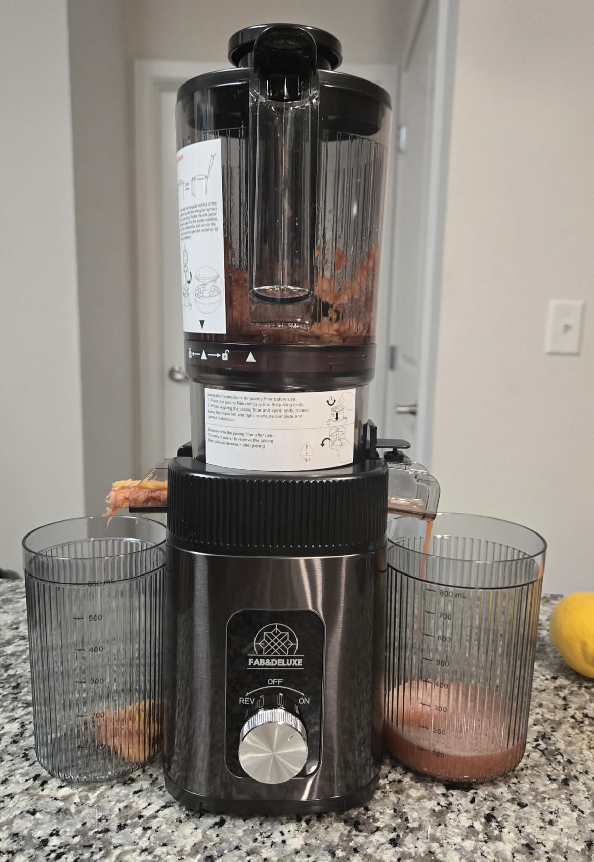FAB&DELUXE Cold Press Juicer with 4.3