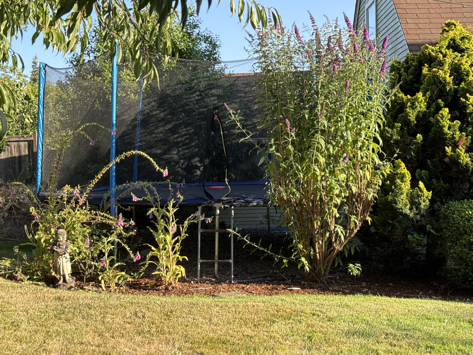 ORCC 1200LBS Weight Capacity Trampoline 16 15 14 12 10 8FT Outdoor Yard Trampolines for Kids Adults Customer Review ORCC 1200LBS Weight Capacity Trampoline 16 15 14 12 10 8FT Outdoor Yard Trampolines for Kids Adults - Customer Photo 1