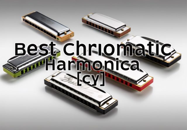 Best Chromatic Harmonica [cy]: 6 Models Tested for Every Budget - Rosenberry Rooms