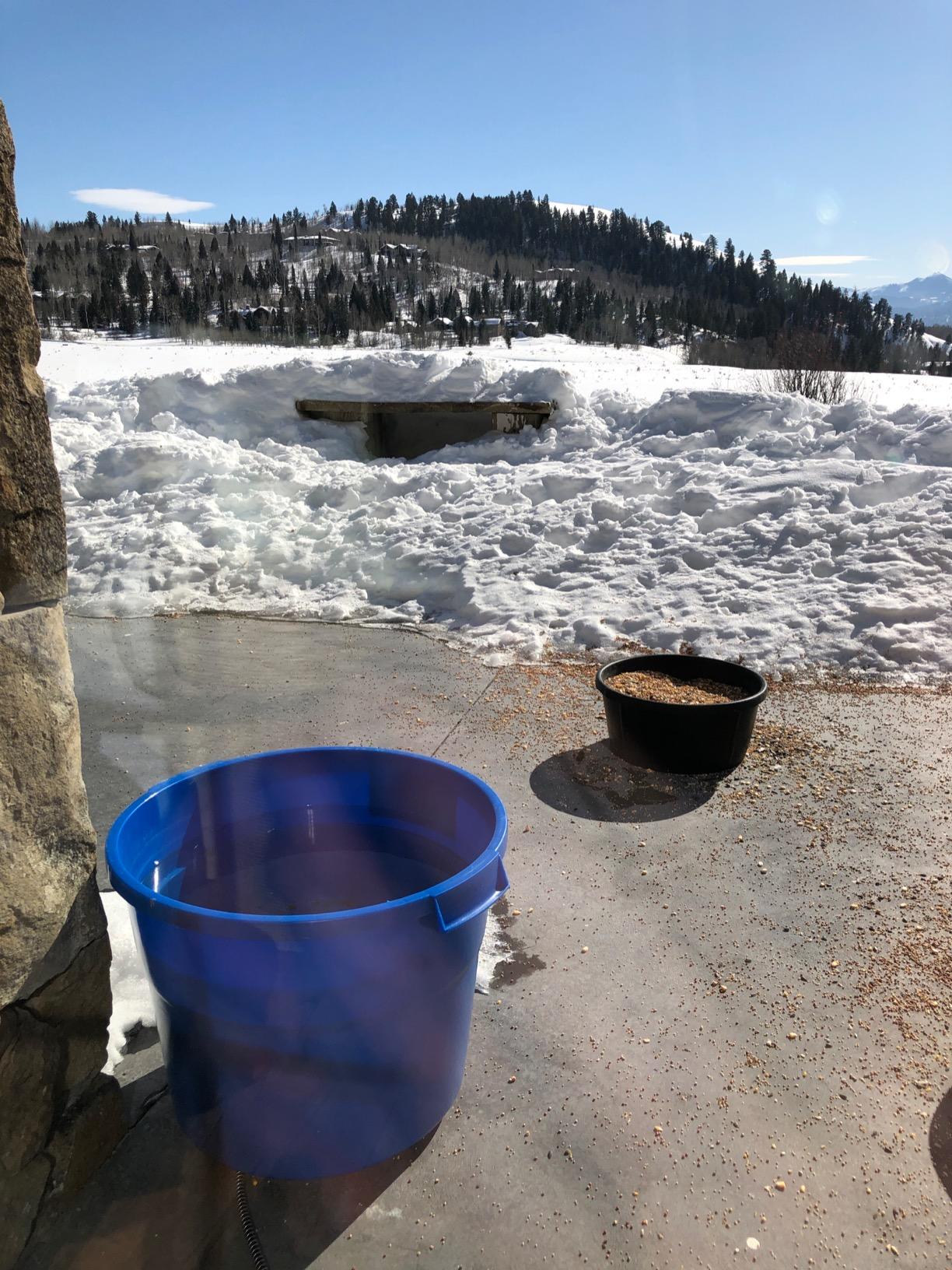API® Heated Bucket | Heated Round Bucket | Livestock Water Bucket | 16 Gallon - Customer Photo 1