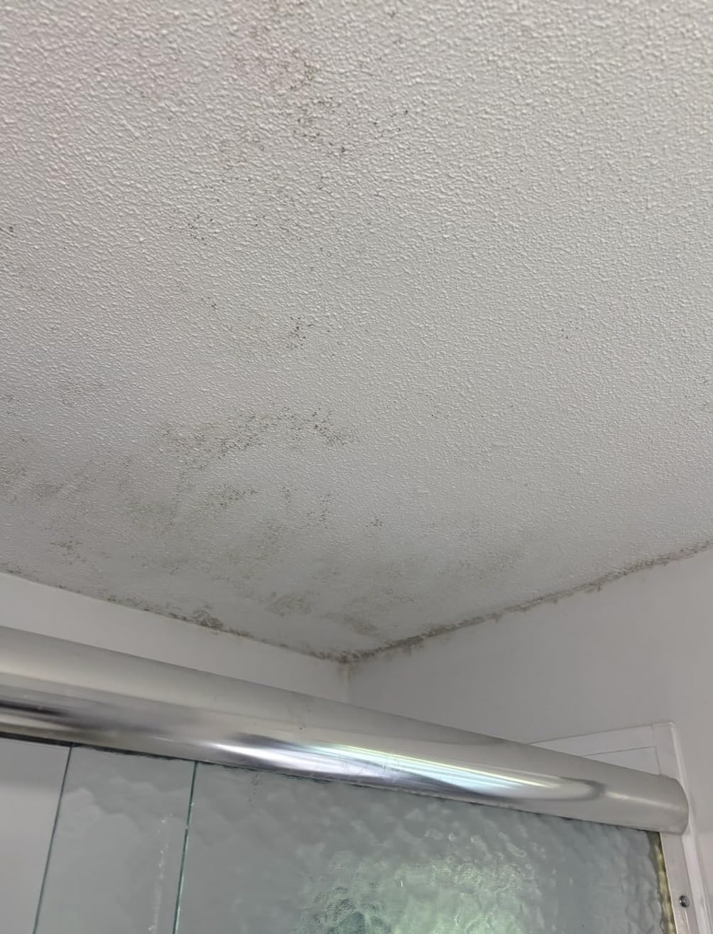 Zinsser 02774 PERMA-WHITE Mold & Mildew Proof Interior Paint, Quart, Eggshell White Customer Review Zinsser 02774 PERMA-WHITE Mold & Mildew Proof Interior Paint, Quart, Eggshell White - Customer Photo 1