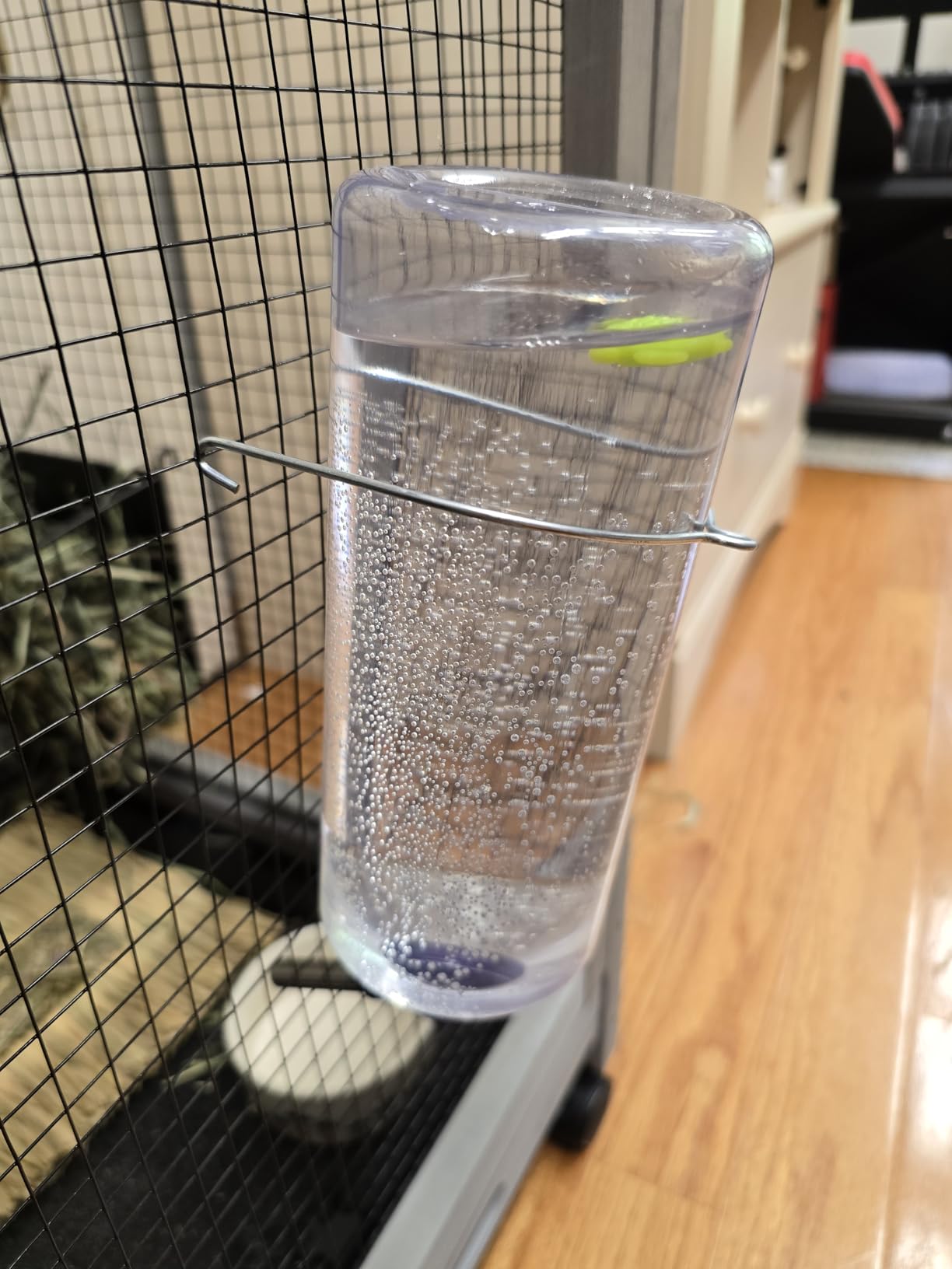 Lixit Weather Resistant Cage Water Bottles for Rabbits, Ferrets, Guinea Pigs Hamsters and Other Small Animals. (8-Ounce) Customer Review Lixit Weather Resistant Cage Water Bottles for Rabbits, Ferrets, Guinea Pigs Hamsters and Other Small Animals. (8-Ounce) - Customer Photo 1