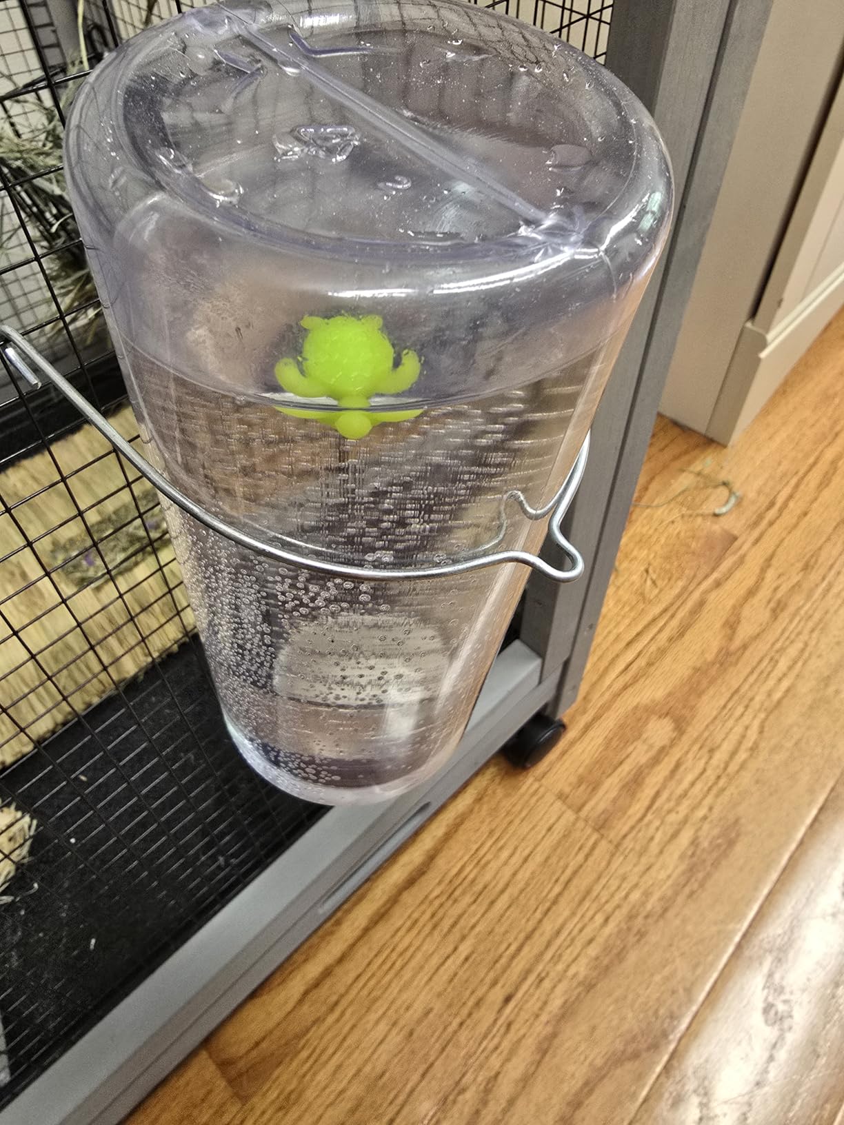 Lixit Weather Resistant Cage Water Bottles for Rabbits, Ferrets, Guinea Pigs Hamsters and Other Small Animals. (8-Ounce) Customer Review Lixit Weather Resistant Cage Water Bottles for Rabbits, Ferrets, Guinea Pigs Hamsters and Other Small Animals. (8-Ounce) - Customer Photo 2