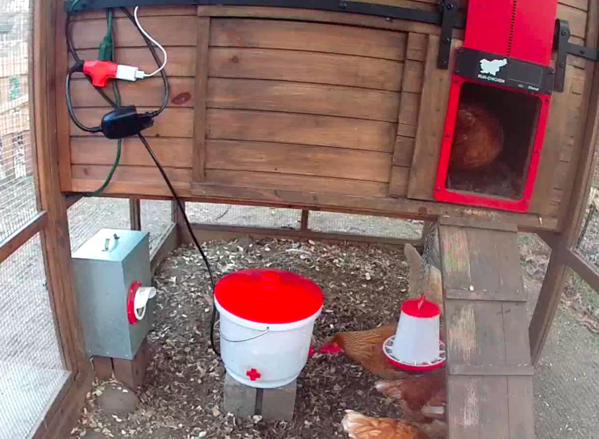 Farm Innovators Heated Chicken Waterer, Hanging Poultry Water Fountain, 3 Gallon, Red - Plastic Water Dispenser with Heater for Chicks, Chickens, and Livestock Customer Review Farm Innovators Heated Chicken Waterer, Hanging Poultry Water Fountain, 3 Gallon, Red - Plastic Water Dispenser with Heater for Chicks, Chickens, and Livestock - Customer Photo 1