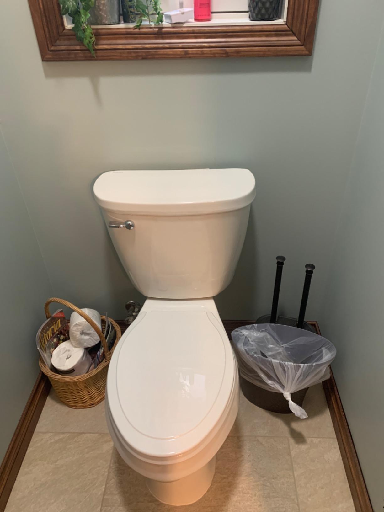 Mansfield Plumbing 384.386.WHT Summit ADA Toilet, White - Customer Photo 1