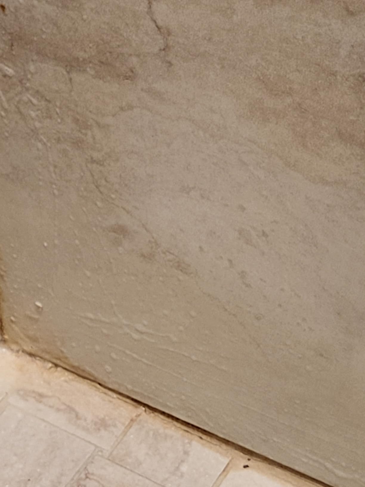 DuPont Mold & Mildew Stain Remover for Natural Stone - Customer Photo 2
