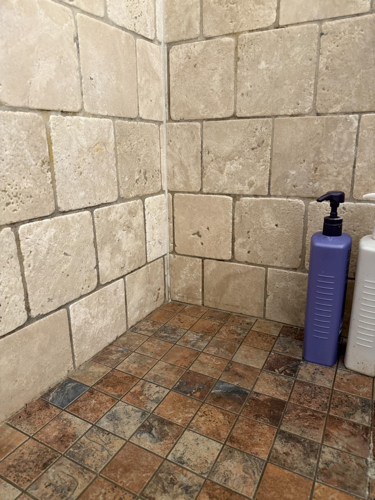 DuPont Mold & Mildew Stain Remover for Natural Stone - Customer Photo 4
