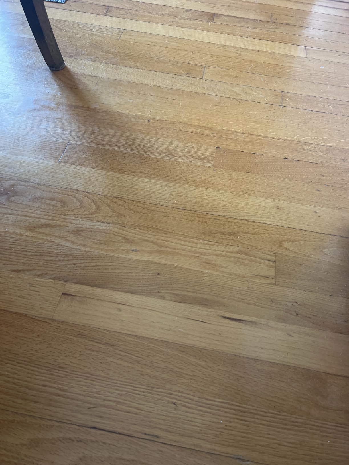 Rejuvenate All Floors Cleaner Refill, 1 Gallon, Breaks Down Dirt and Grime Customer Review Rejuvenate All Floors Cleaner Refill, 1 Gallon, Breaks Down Dirt and Grime - Customer Photo 2