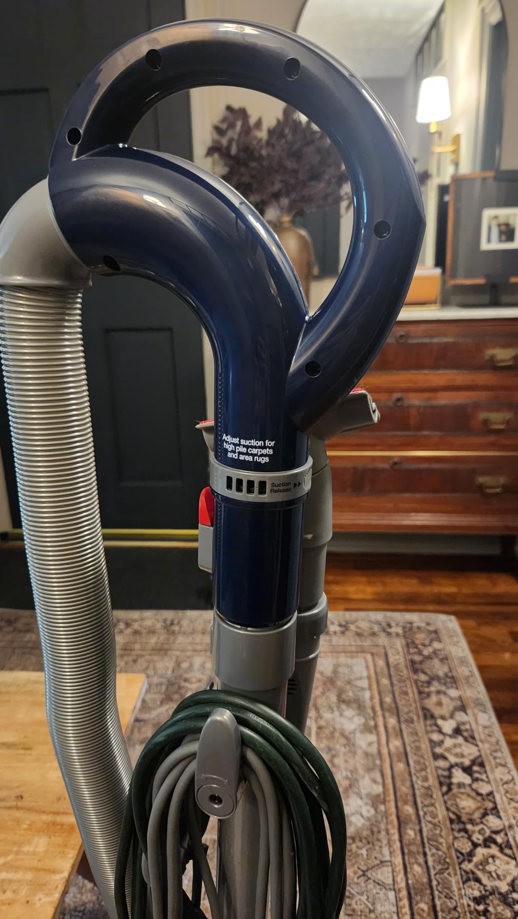 Shark Upright Vacuum, Navigator Lift-Away Deluxe with Large Dust Cup Capacity, HEPA Filter, Swivel Steering, Upholstery Tool & Crevice Tool, Blue, NV360 Customer Review Shark Upright Vacuum, Navigator Lift-Away Deluxe with Large Dust Cup Capacity, HEPA Filter, Swivel Steering, Upholstery Tool & Crevice Tool, Blue, NV360 - Customer Photo 3