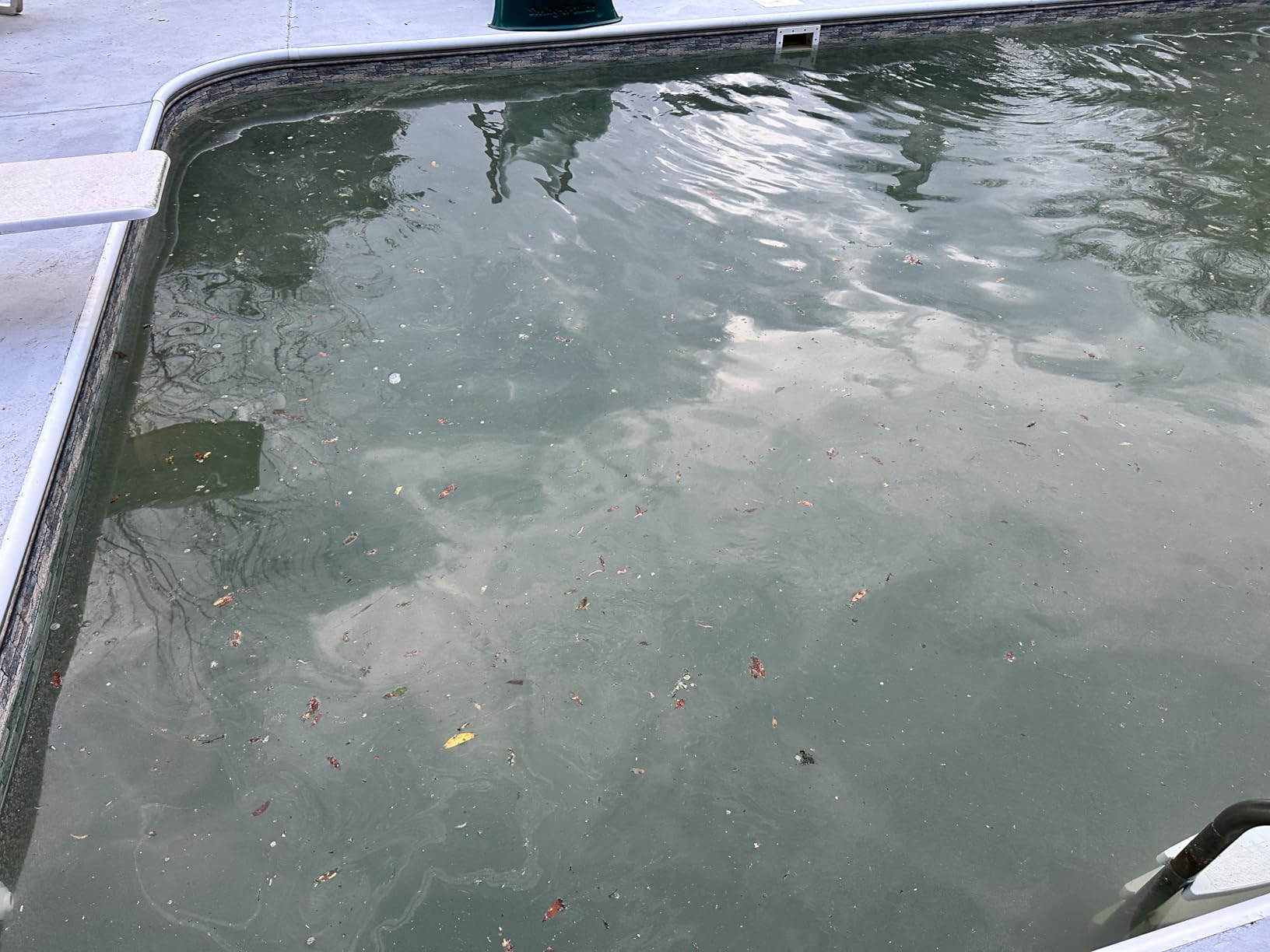 Clorox® Pool&Spa™ Swimming Pool Sink to Clear Flocculant, Sinks Debris, Dead Algae, Large Particles & Other Matters to Pool Floor, 1 Quart (Pack of 1) - Customer Photo 2