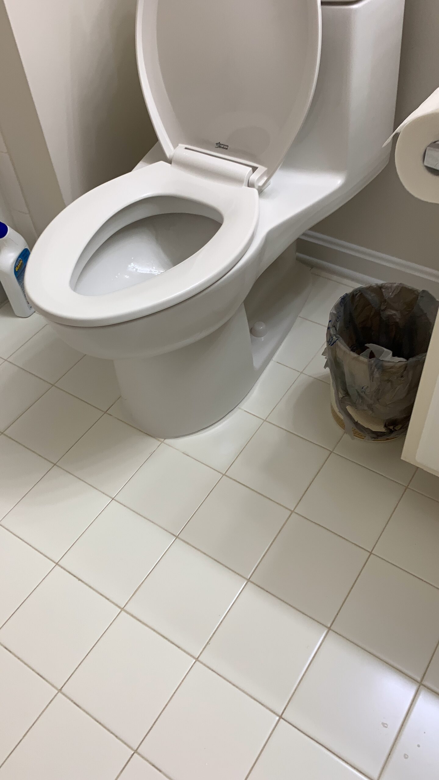 American Standard 2034314.020 Champion 4 One-Piece Toilet with Toilet Seat, Elongated Front, Chair Height, White, 1.6 gpf Customer Review American Standard 2034314.020 Champion 4 One-Piece Toilet with Toilet Seat, Elongated Front, Chair Height, White, 1.6 gpf - Customer Photo 1