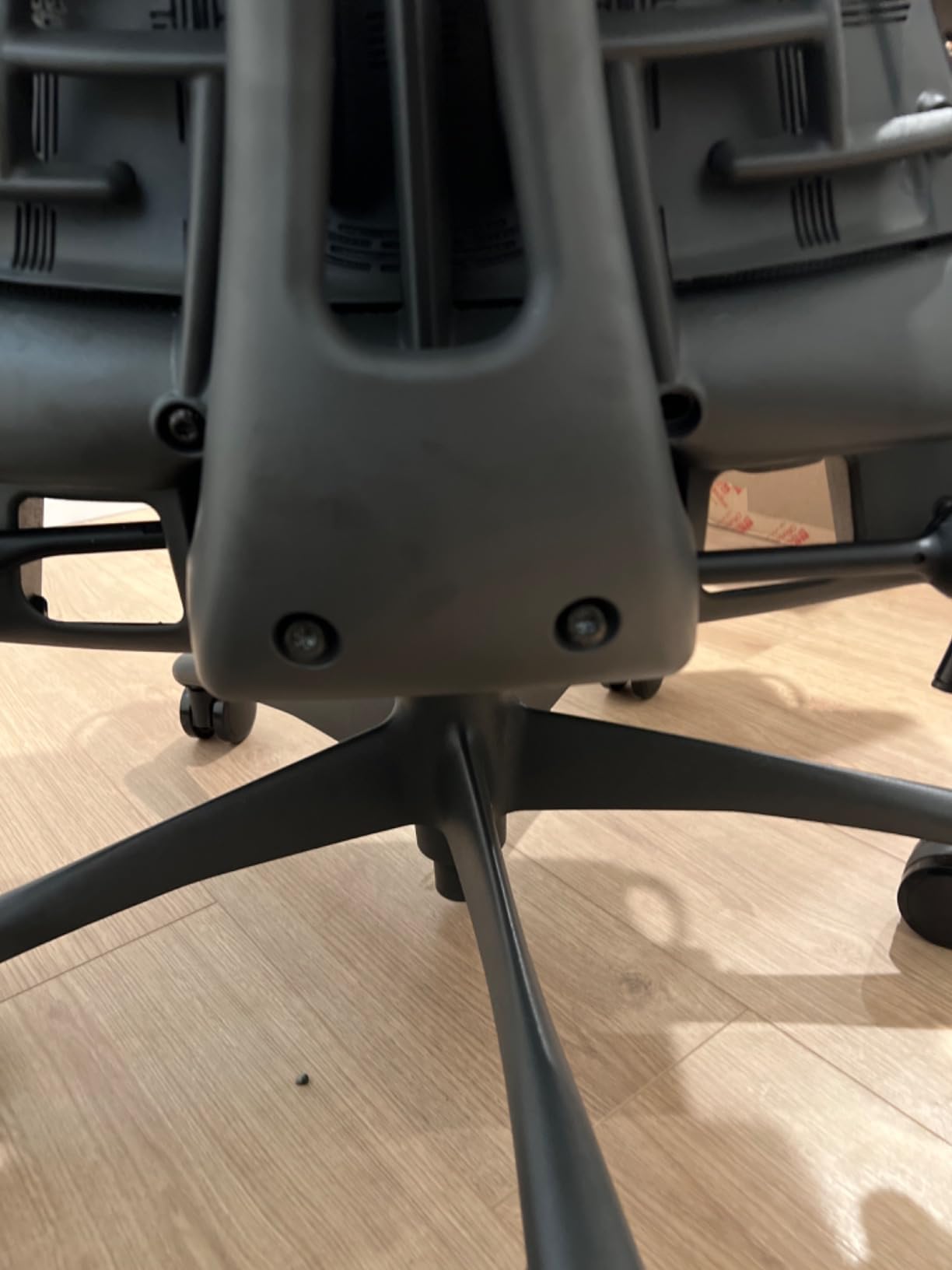 Embody Ergonomic Office Chair | Fully Adjustable Arms and Carpet Casters | Black Rhythm Customer Review Embody Ergonomic Office Chair | Fully Adjustable Arms and Carpet Casters | Black Rhythm - Customer Photo 3