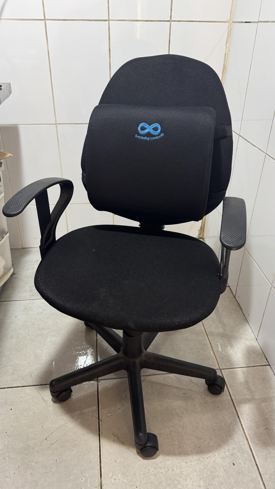 Everlasting Comfort Lumbar Support Pillow for Office Chair - Memory Foam Back Cushion for Chair, Car, Couch - Lumbar Pillow Promotes Better Posture, Back Pain Relief - Ideal for Gaming and Desk Chairs Customer Review Everlasting Comfort Lumbar Support Pillow for Office Chair - Memory Foam Back Cushion for Chair, Car, Couch - Lumbar Pillow Promotes Better Posture, Back Pain Relief - Ideal for Gaming and Desk Chairs - Customer Photo 1