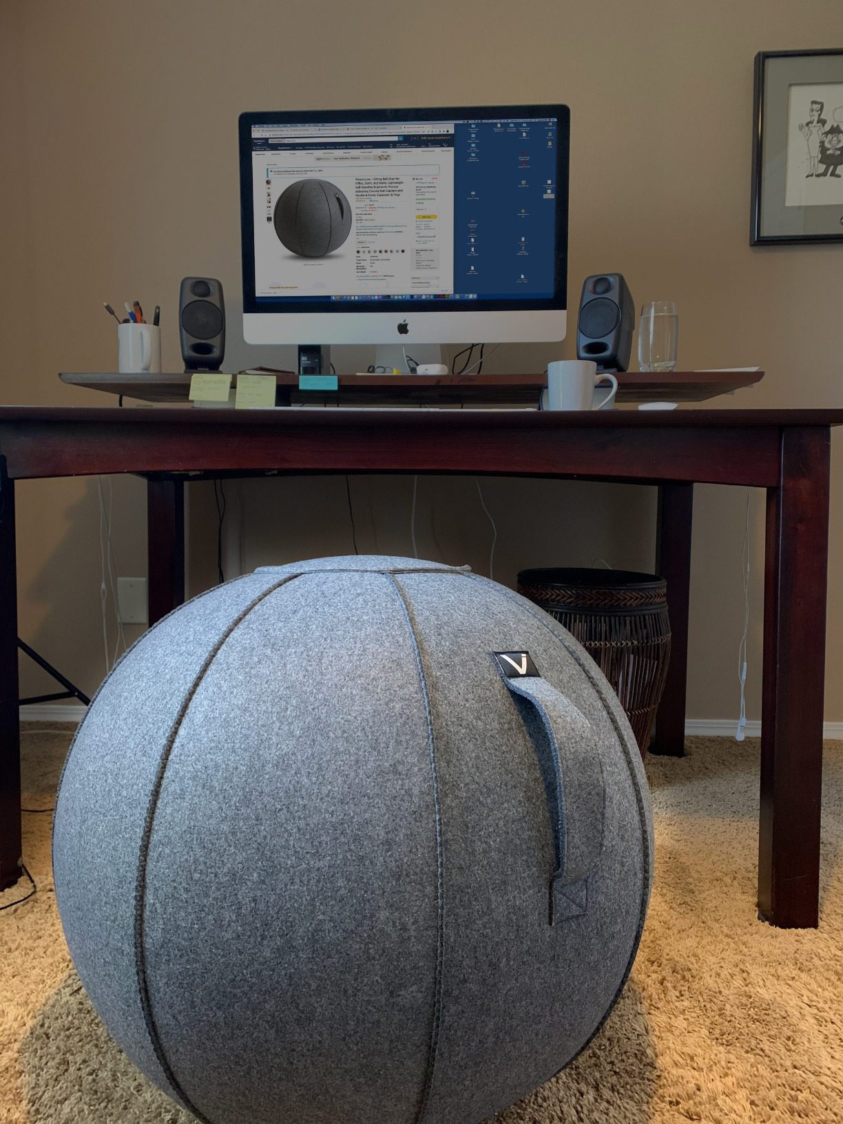 Vivora Luno Premium Ergonomic Sitting Ball Chair, Felt, Standard Size (22 to 24 inches), for Home Offices, Balance Training, Yoga Ball, Posture Improvement Customer Review Vivora Luno Premium Ergonomic Sitting Ball Chair, Felt, Standard Size (22 to 24 inches), for Home Offices, Balance Training, Yoga Ball, Posture Improvement - Customer Photo 1