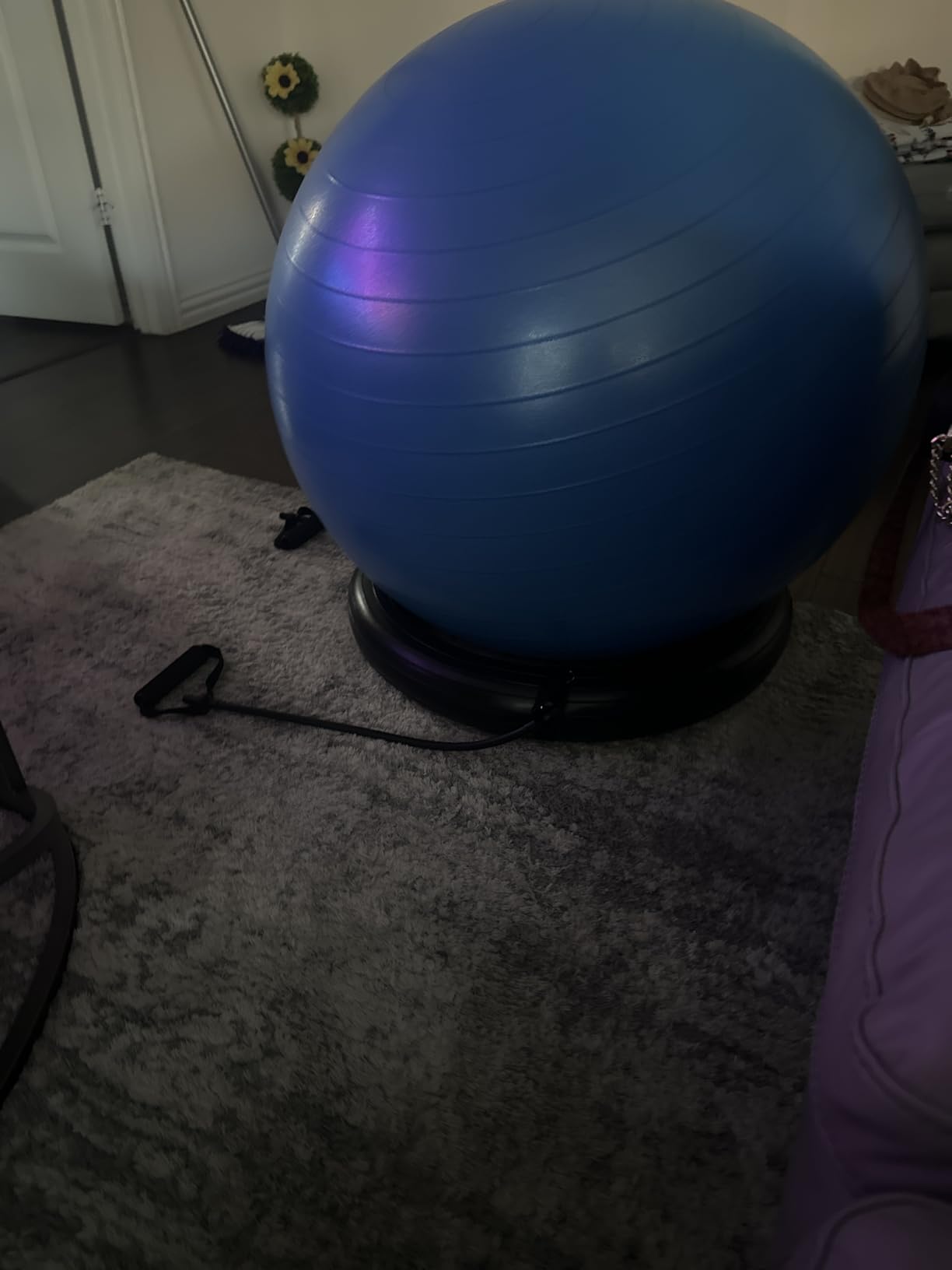 ProBody Pilates Yoga Ball Chair, Exercise Ball Chair with Base or Stand for Home Office Desk Sitting or Workout, 65cm Antiburst Balance & Stability Ball Seat, Large Gym Ball for Back, Abs Customer Review ProBody Pilates Yoga Ball Chair, Exercise Ball Chair with Base or Stand for Home Office Desk Sitting or Workout, 65cm Antiburst Balance & Stability Ball Seat, Large Gym Ball for Back, Abs - Customer Photo 1