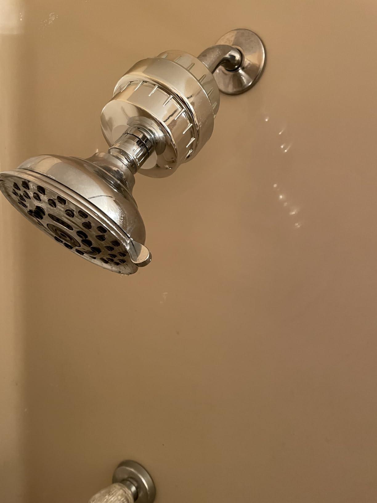 Aqua Earth Shower Filter For Hard Water Removes Chlorine Fluoride Harmful Substances Organics Other Sediments Shower Head Filter High Output Vitamin C For Hair and Nails Customer Review Aqua Earth Shower Filter For Hard Water Removes Chlorine Fluoride Harmful Substances Organics Other Sediments Shower Head Filter High Output Vitamin C For Hair and Nails - Customer Photo 2