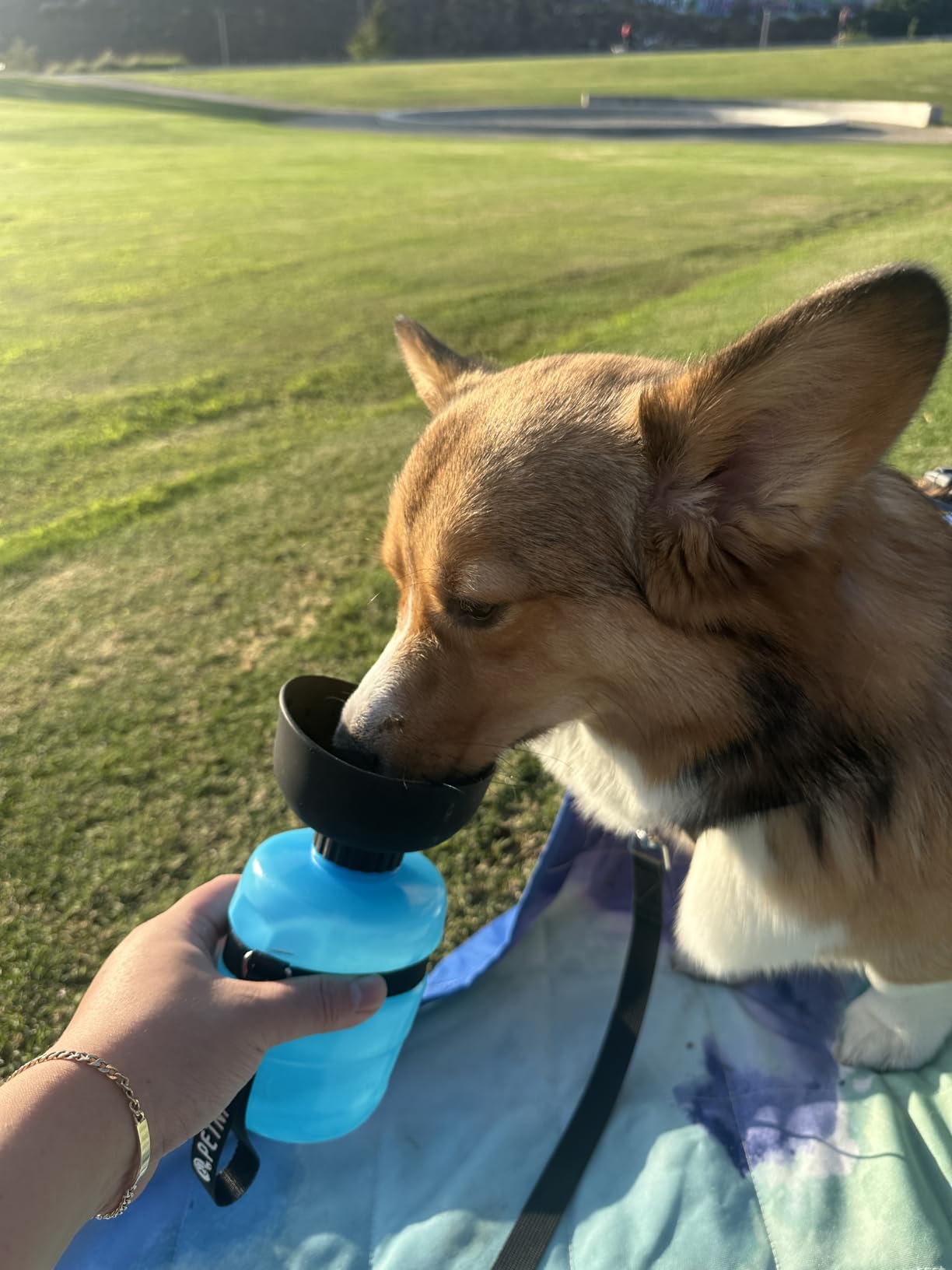 lesotc Dog Water Bottle, Portable Water Dispenser with Bowl, Leak Proof Pet Travel Squeeze Bottle, Puppy Essentials Dog Stuff Accessories for Outdoor Walking, Hiking, Camping Customer Review lesotc Dog Water Bottle, Portable Water Dispenser with Bowl, Leak Proof Pet Travel Squeeze Bottle, Puppy Essentials Dog Stuff Accessories for Outdoor Walking, Hiking, Camping - Customer Photo 1