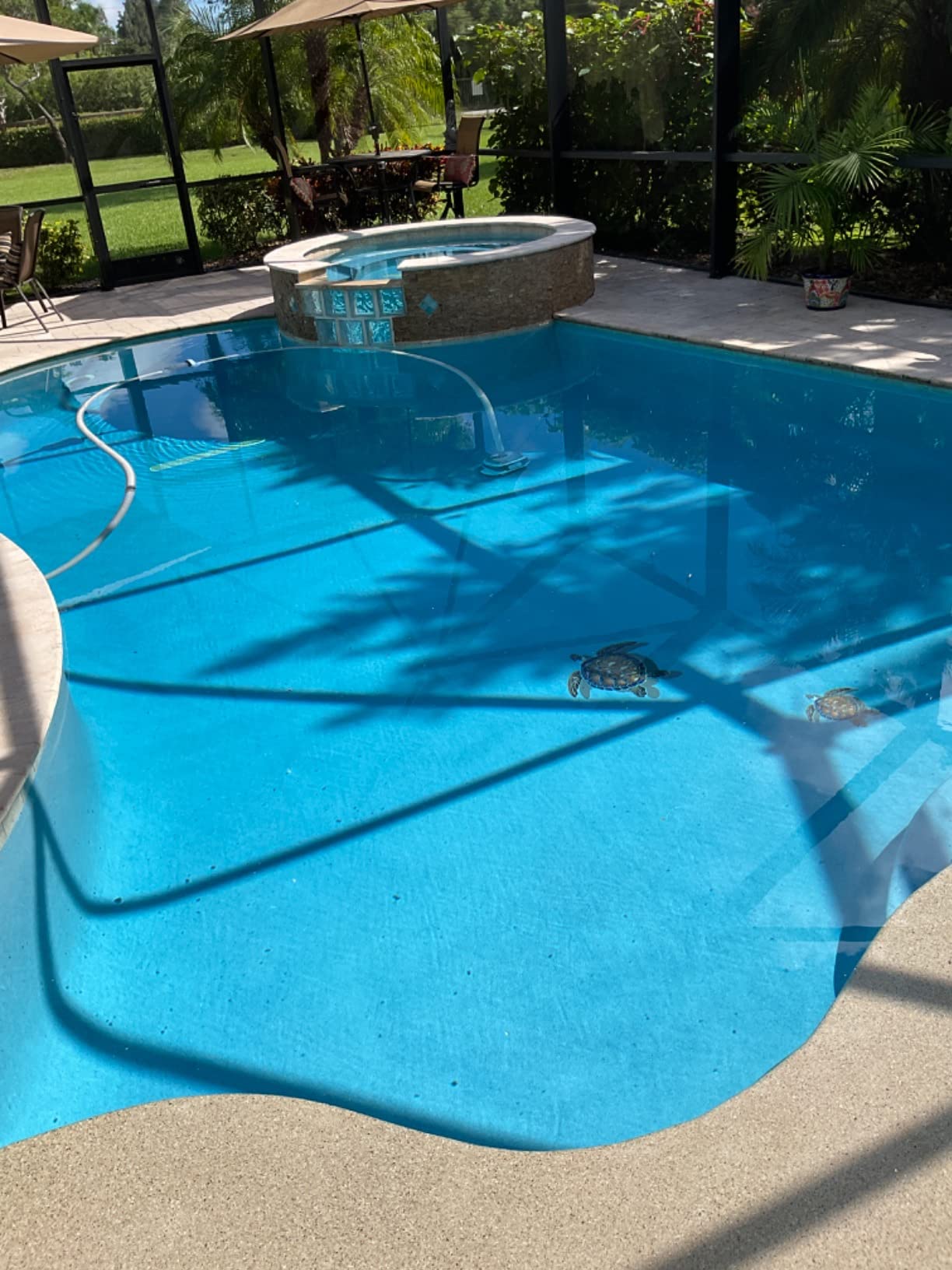 Hayward W32025ADC PoolVac XL Suction Pool Cleaner for In-Ground Gunite Pools up to 20 x 40 ft. with 40 ft. Hose (Automatic Pool Vacuum) Customer Review Hayward W32025ADC PoolVac XL Suction Pool Cleaner for In-Ground Gunite Pools up to 20 x 40 ft. with 40 ft. Hose (Automatic Pool Vacuum) - Customer Photo 2